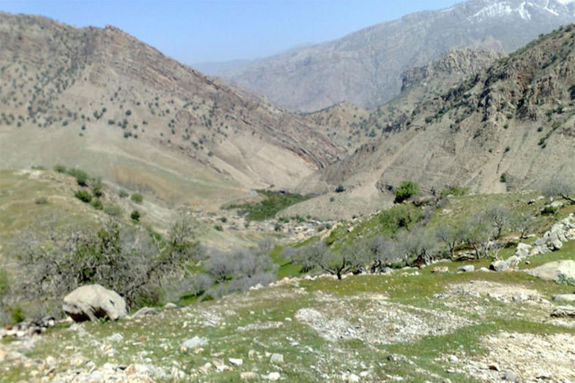 منطقه حفاظت‌شده کوه خامین