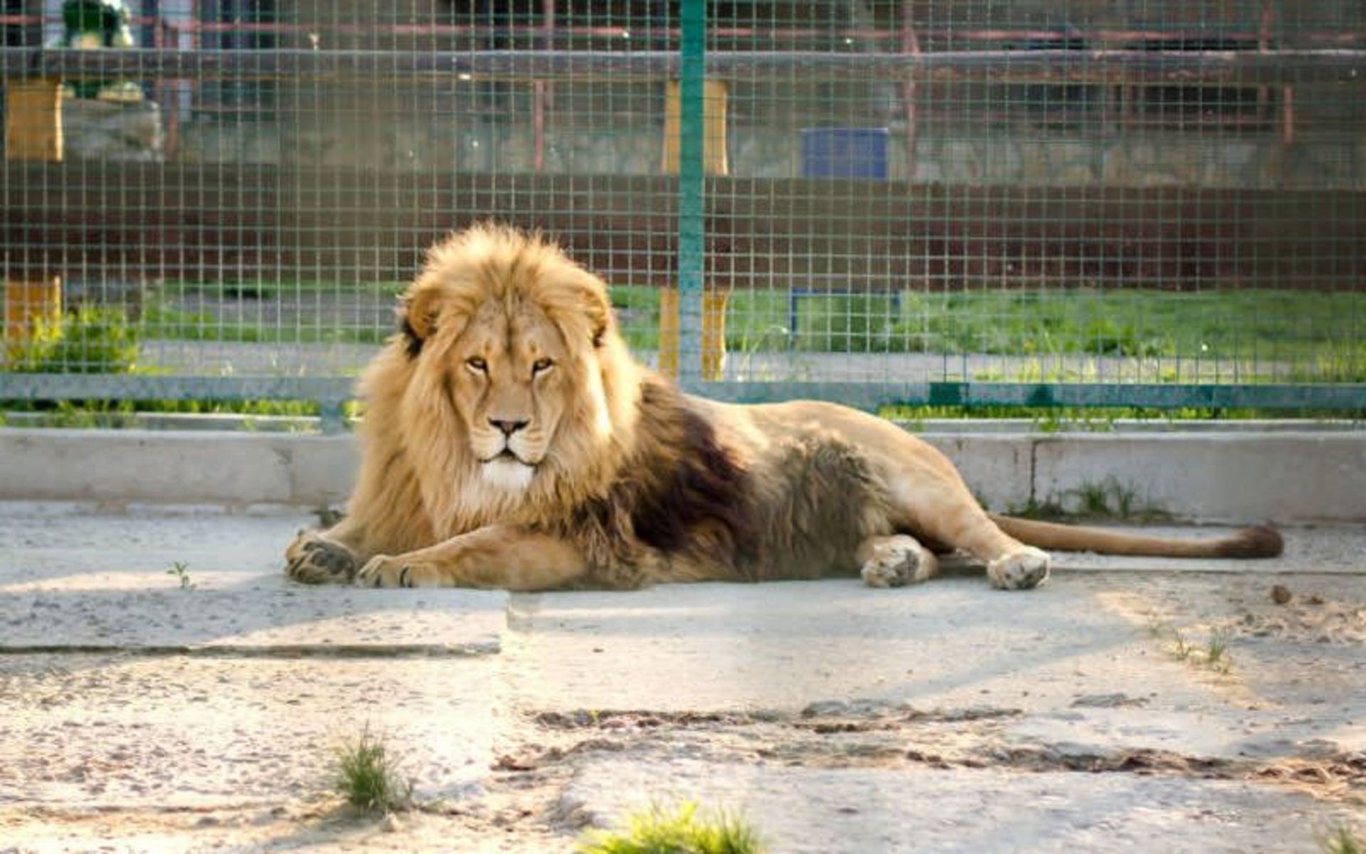 باغ وحش لیمپوپو (Limpopo Zoo)