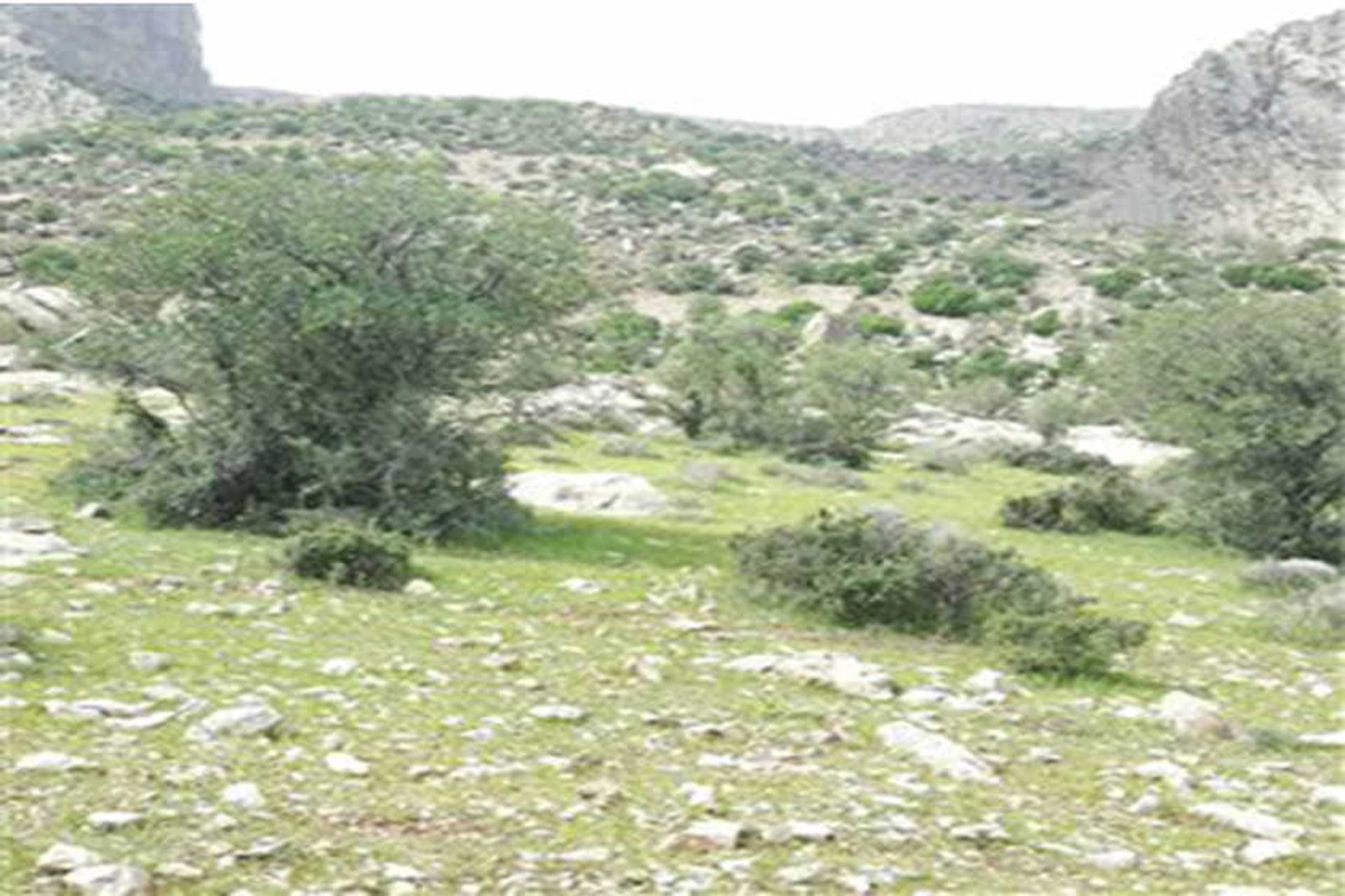 تنگ خشک 
