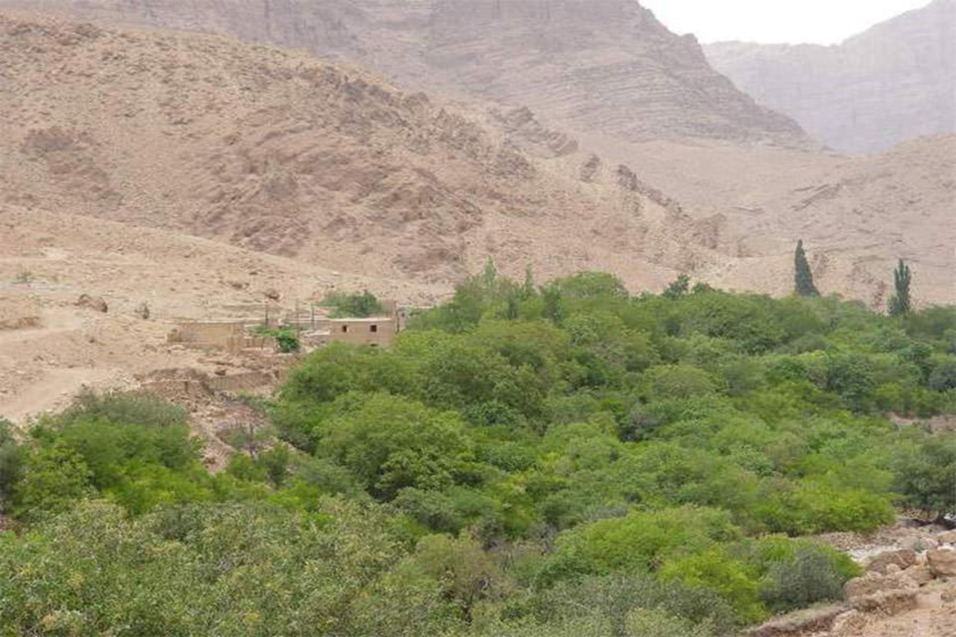 روستای گردشگری شادکام