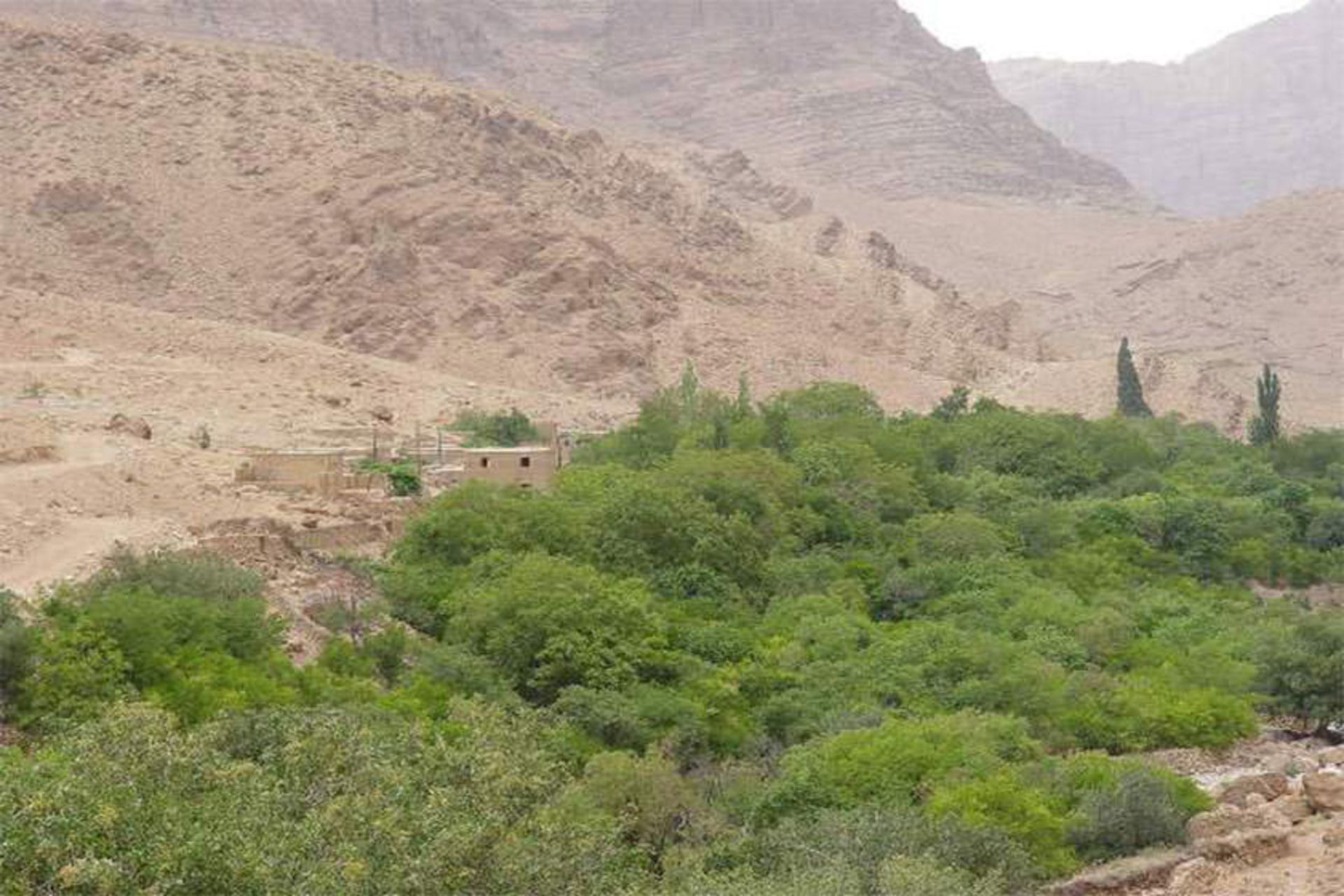 روستای گردشگری شادکام
