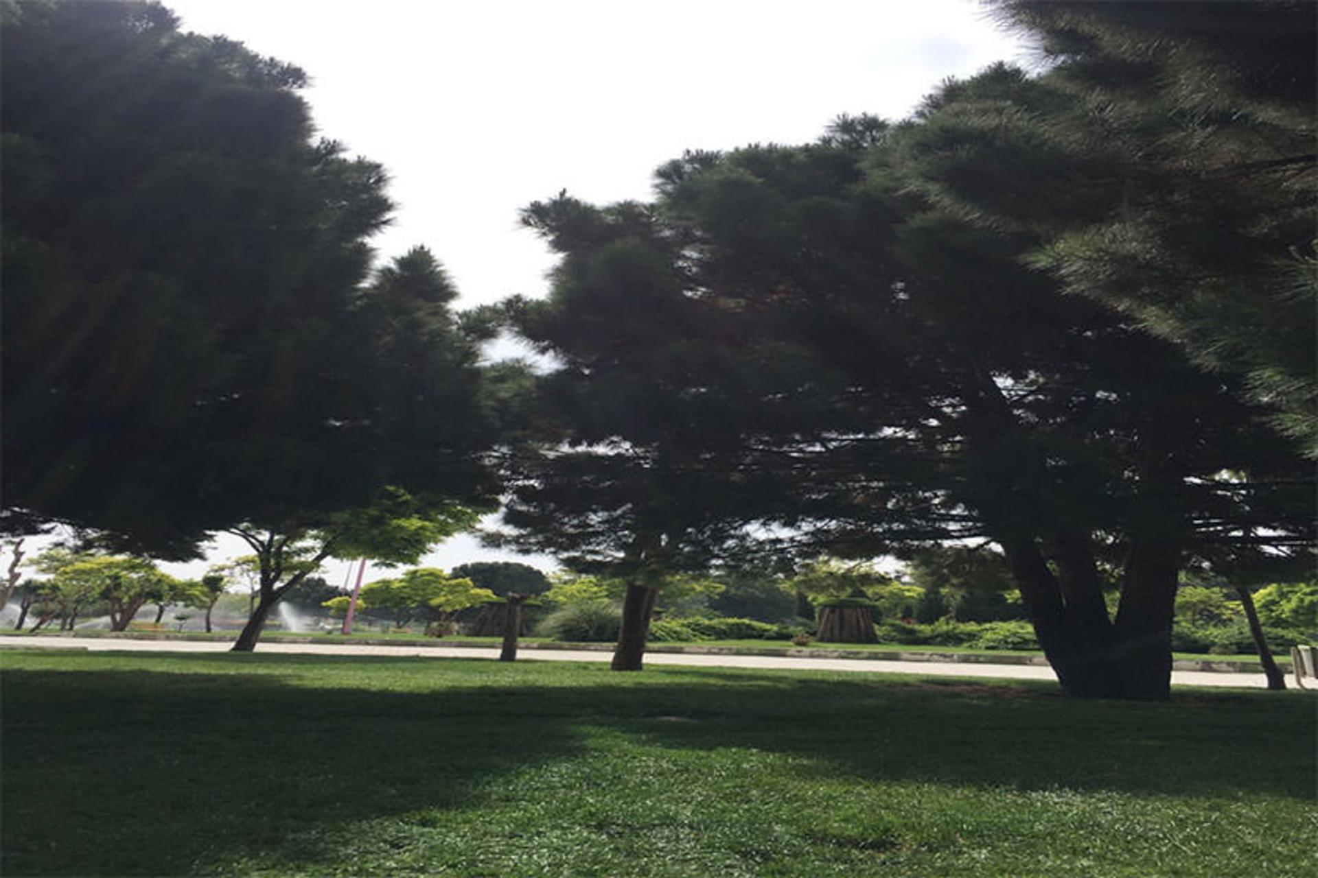 پارک بانک استان 
