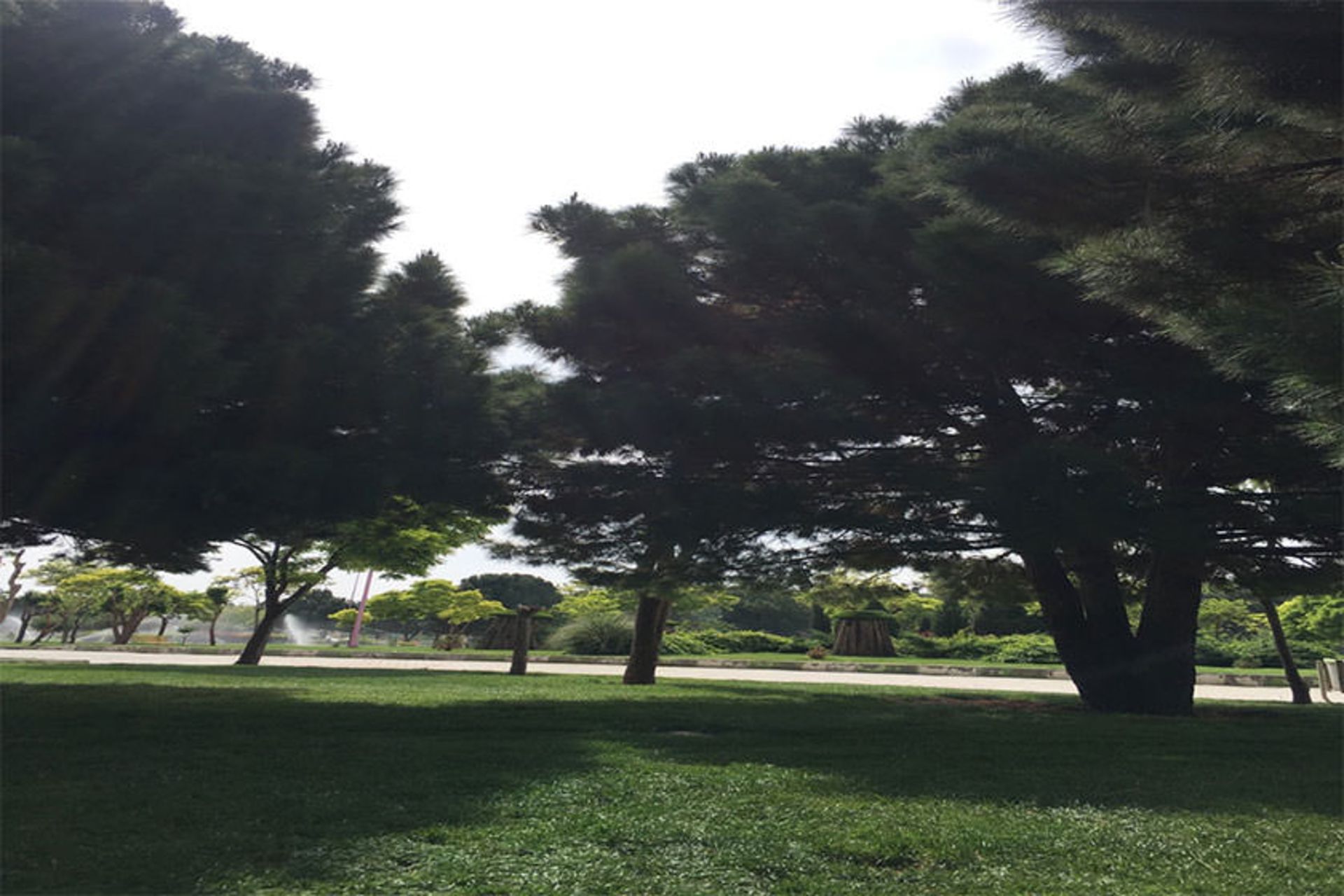 پارک بانک استان 