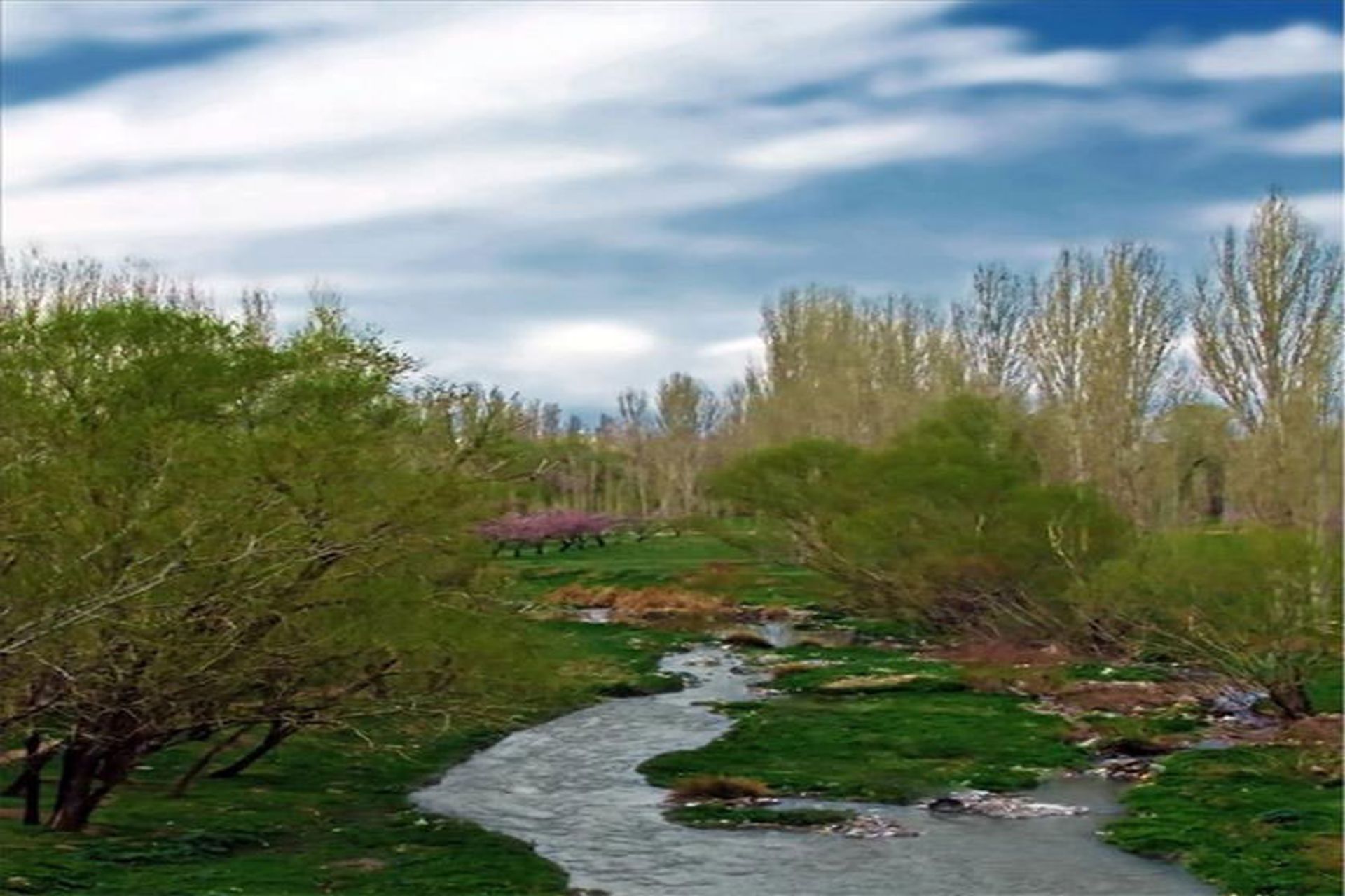 زنجانرود