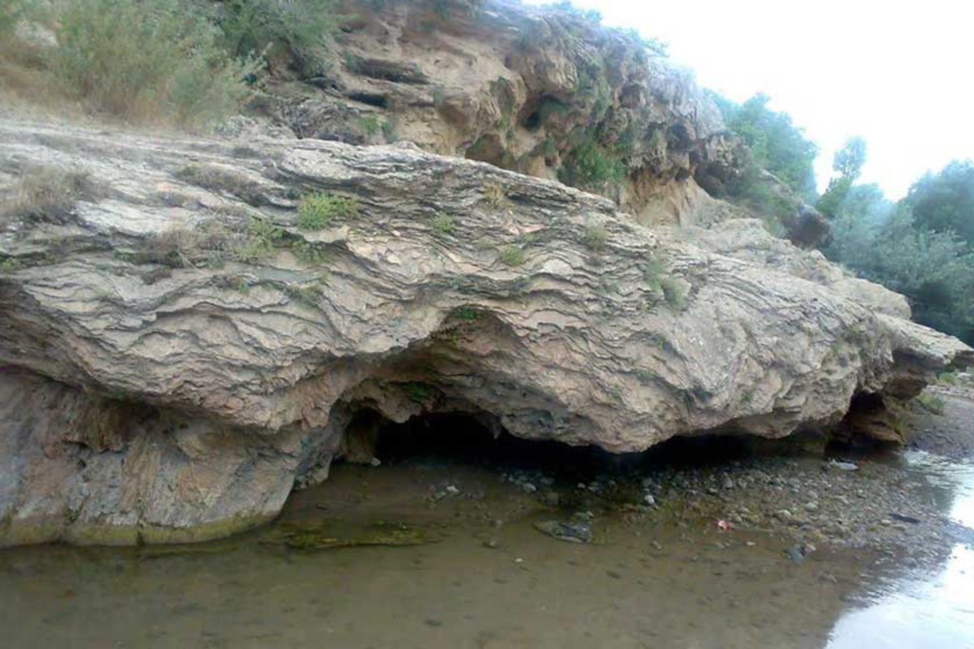 شورسو
