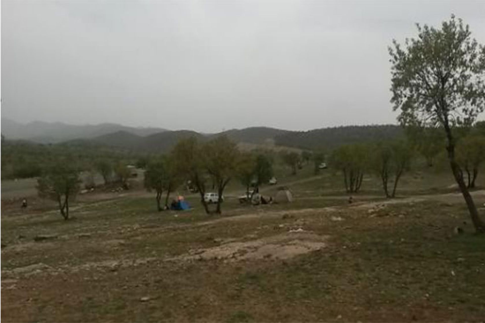 منطقه جنگلی گلال سیاه