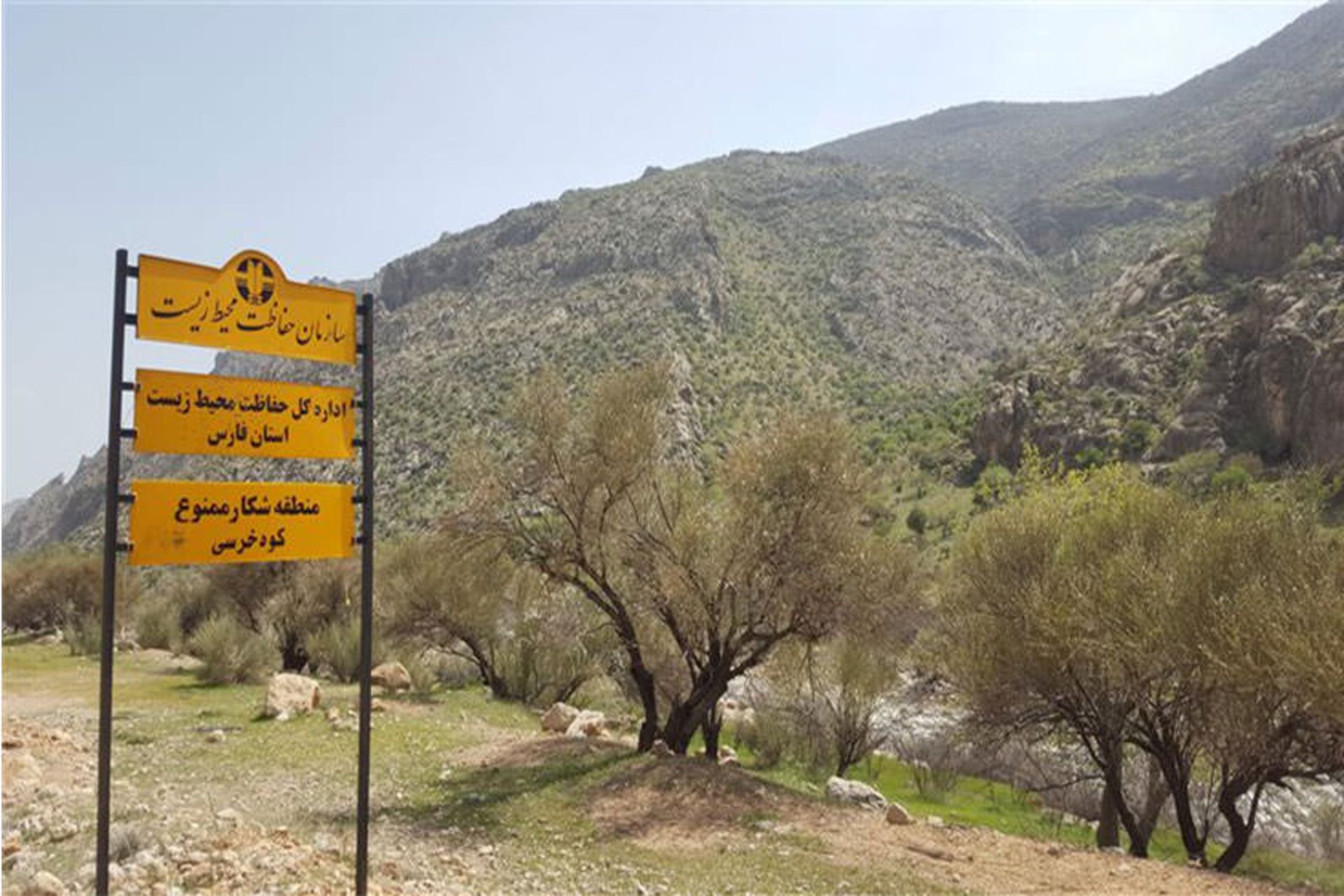 تیر باغ 