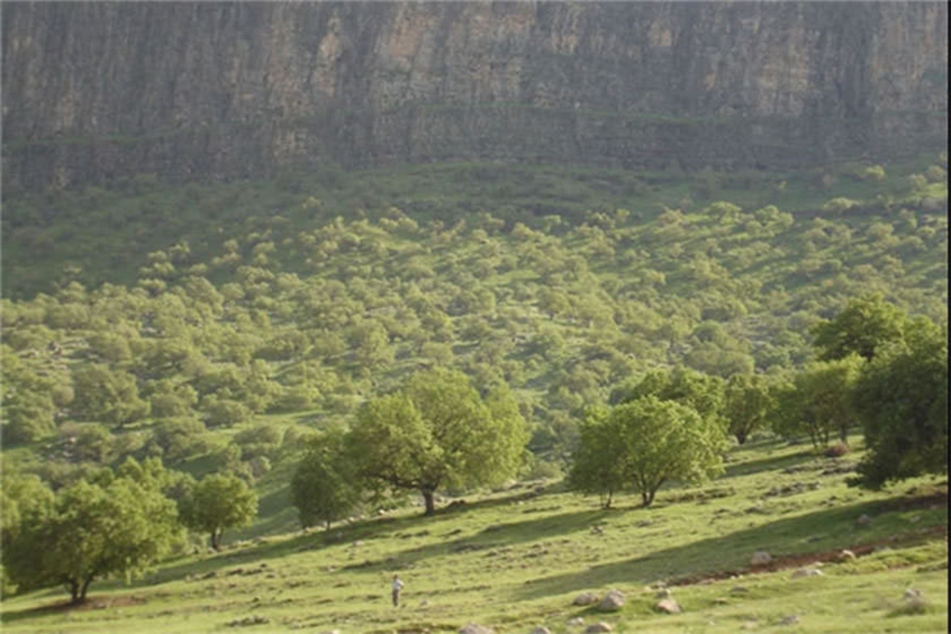 منطقه گردشگری شلالدون