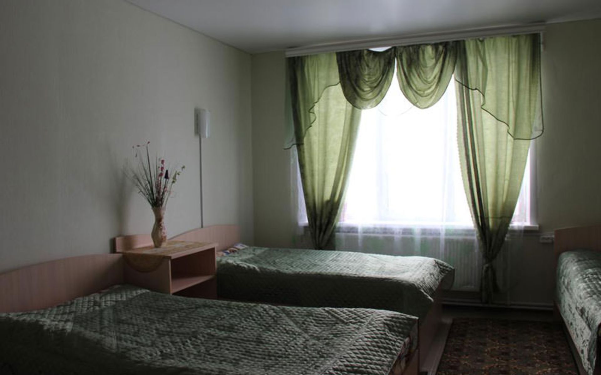 هتل ویکتوریا (Hotel Viktoriya)