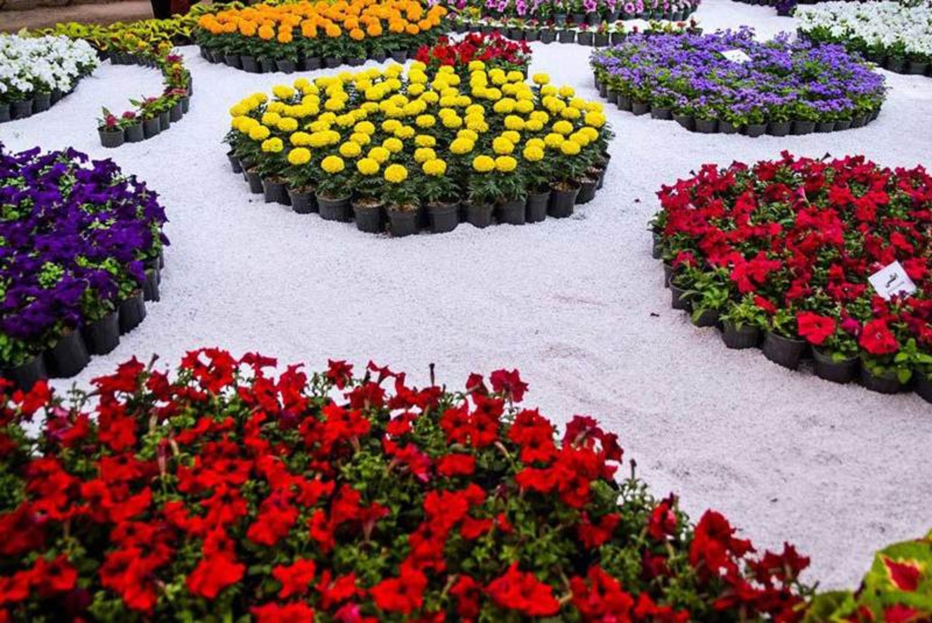 دهکده گل محلات