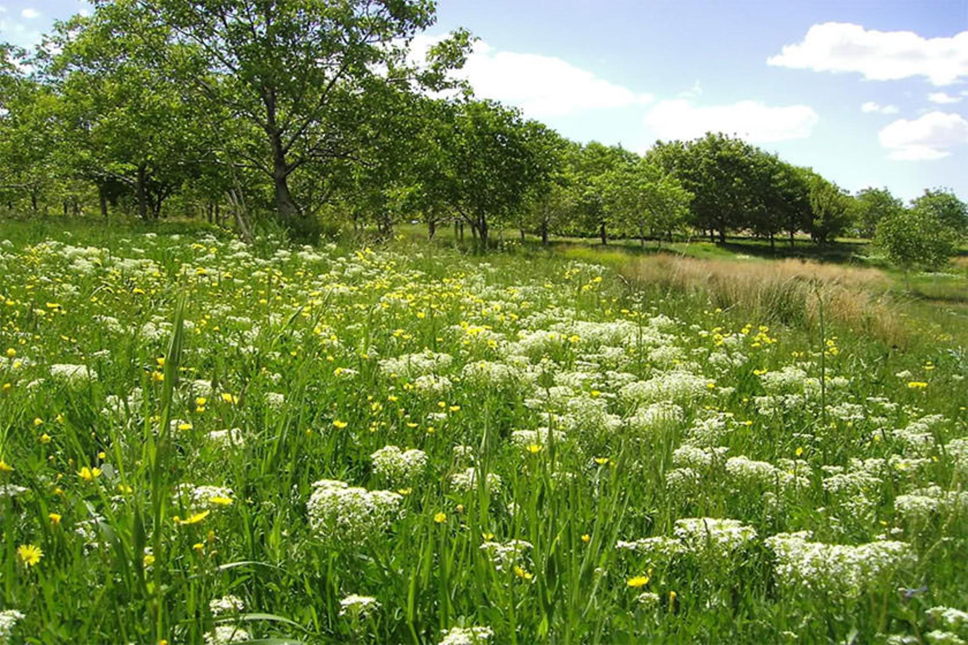 منطقه کوهستانی چهار گنبد