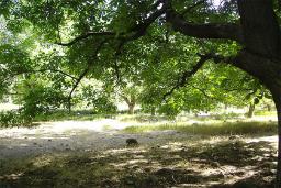 منطقه کوهستانی چهار گنبد