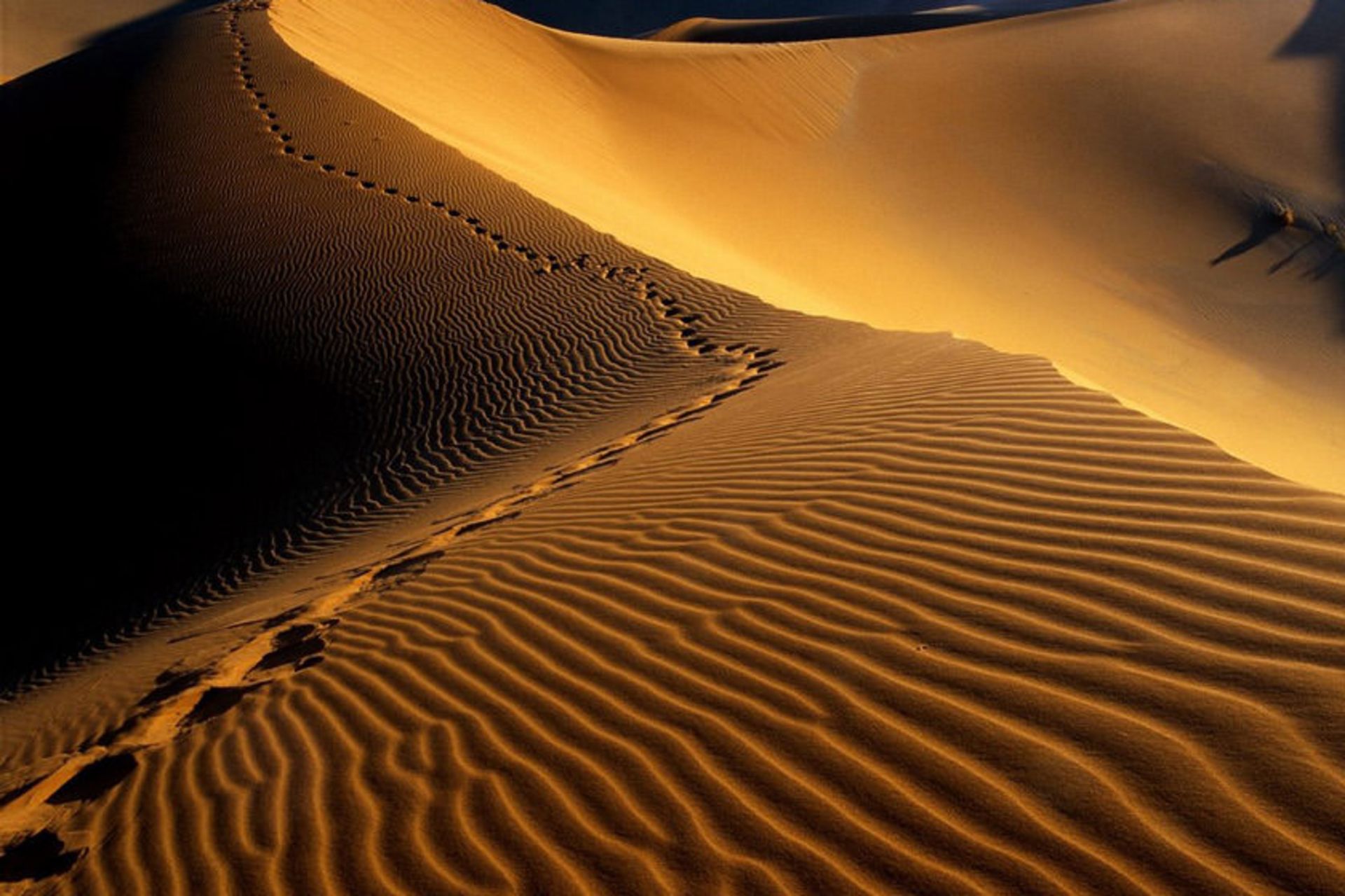 کویر مرنجاب