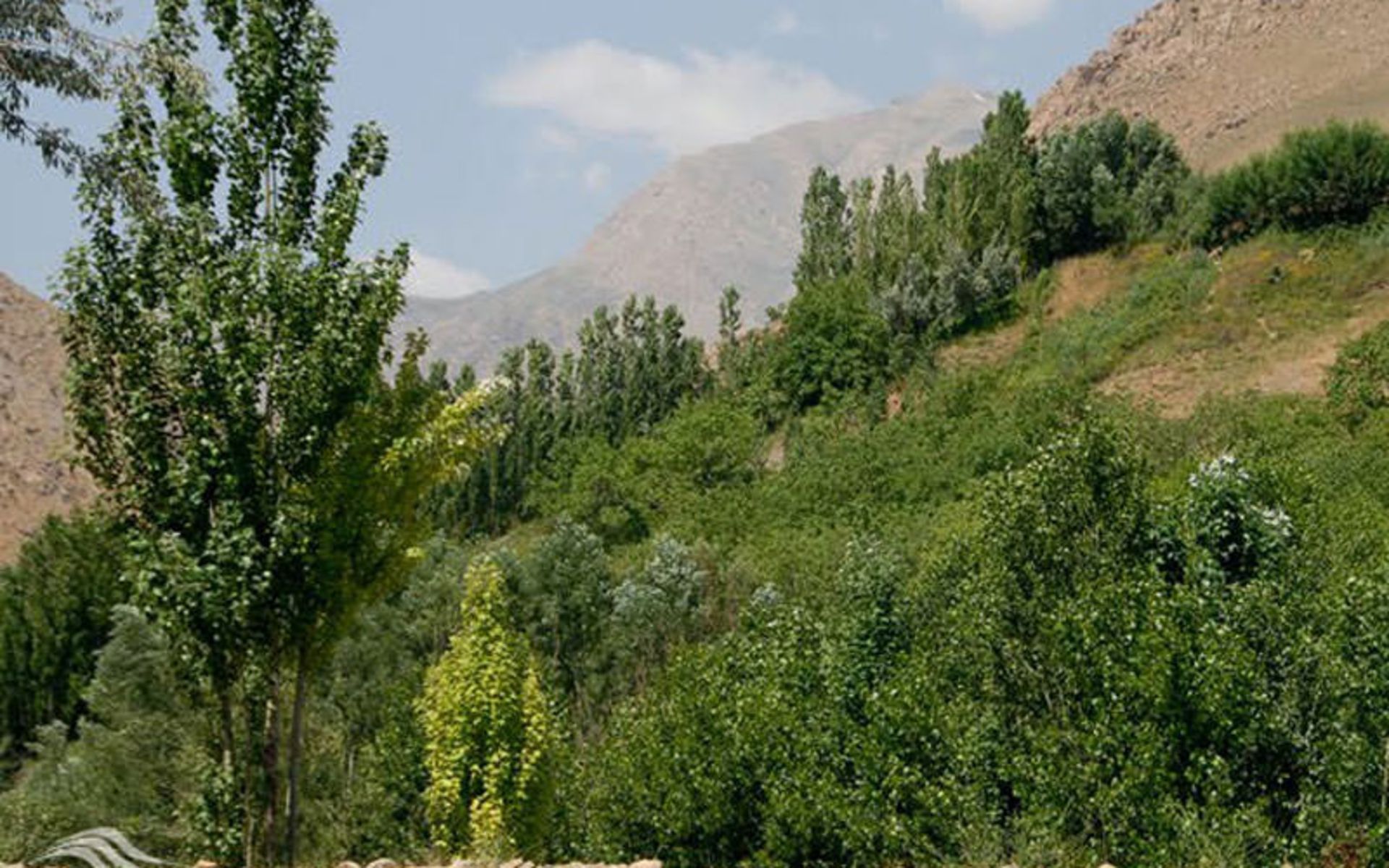 آبشار ونایی