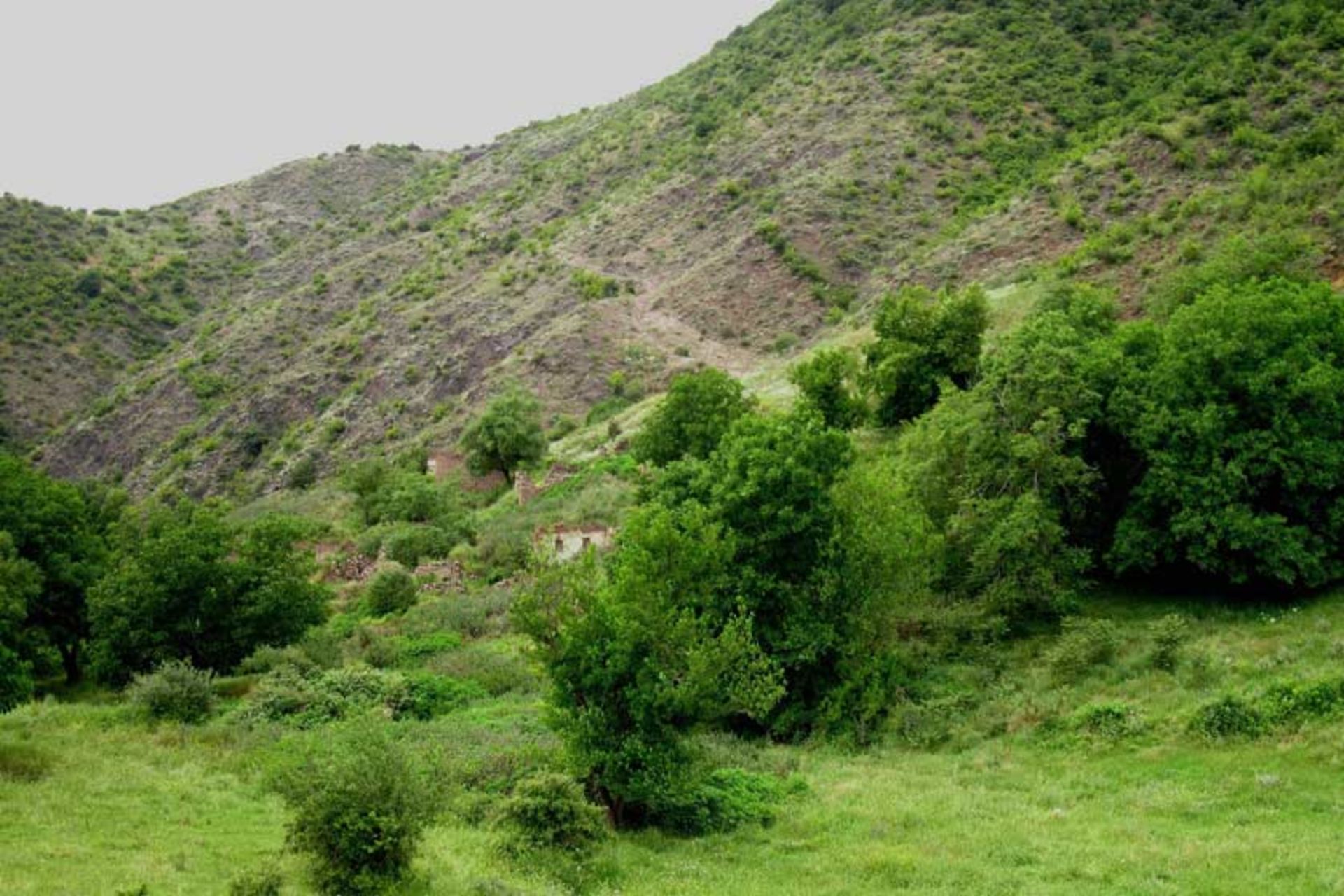 بیجار