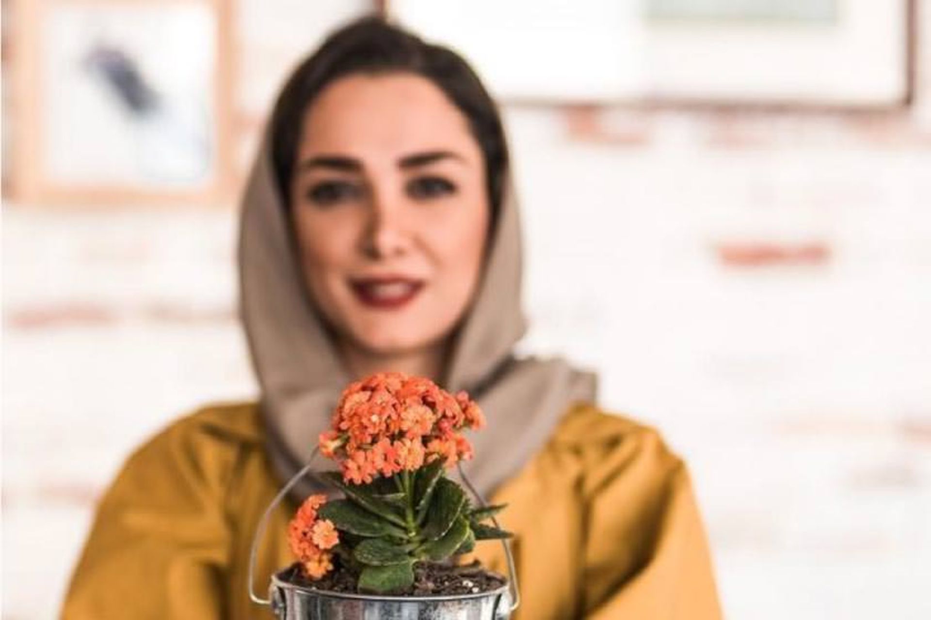 مینا شیری