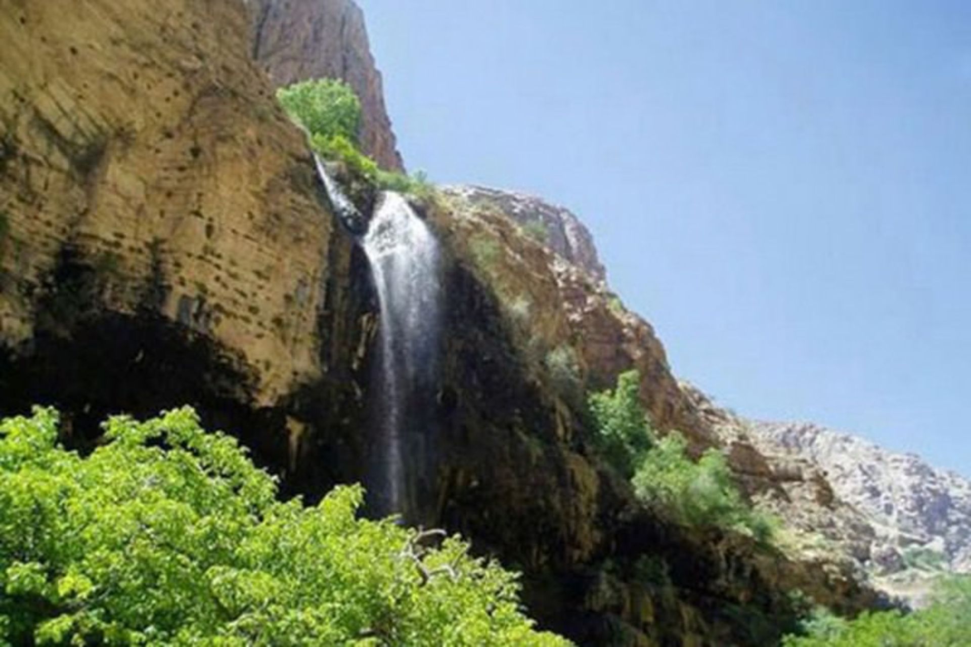 بیار
