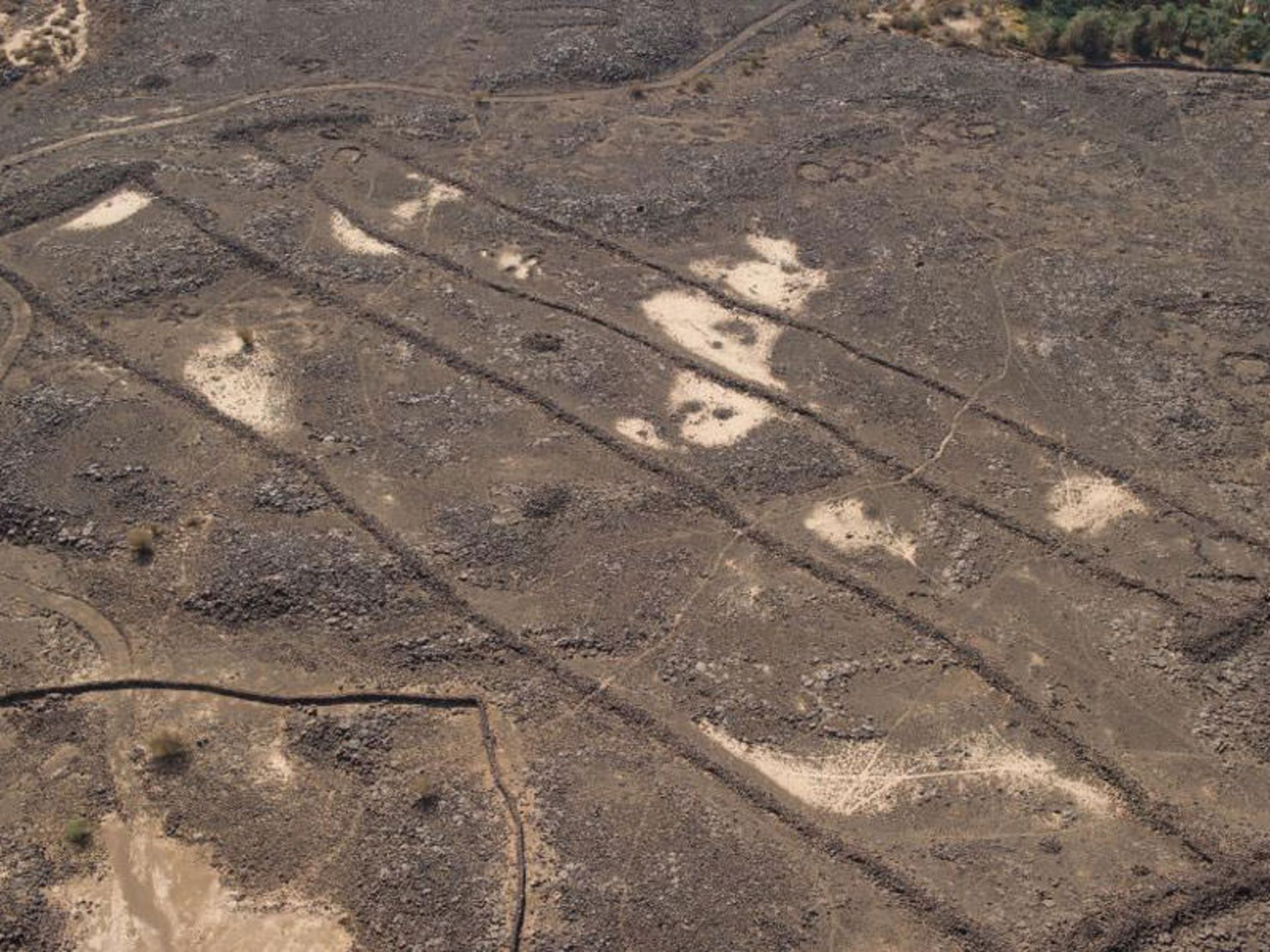 عربستان