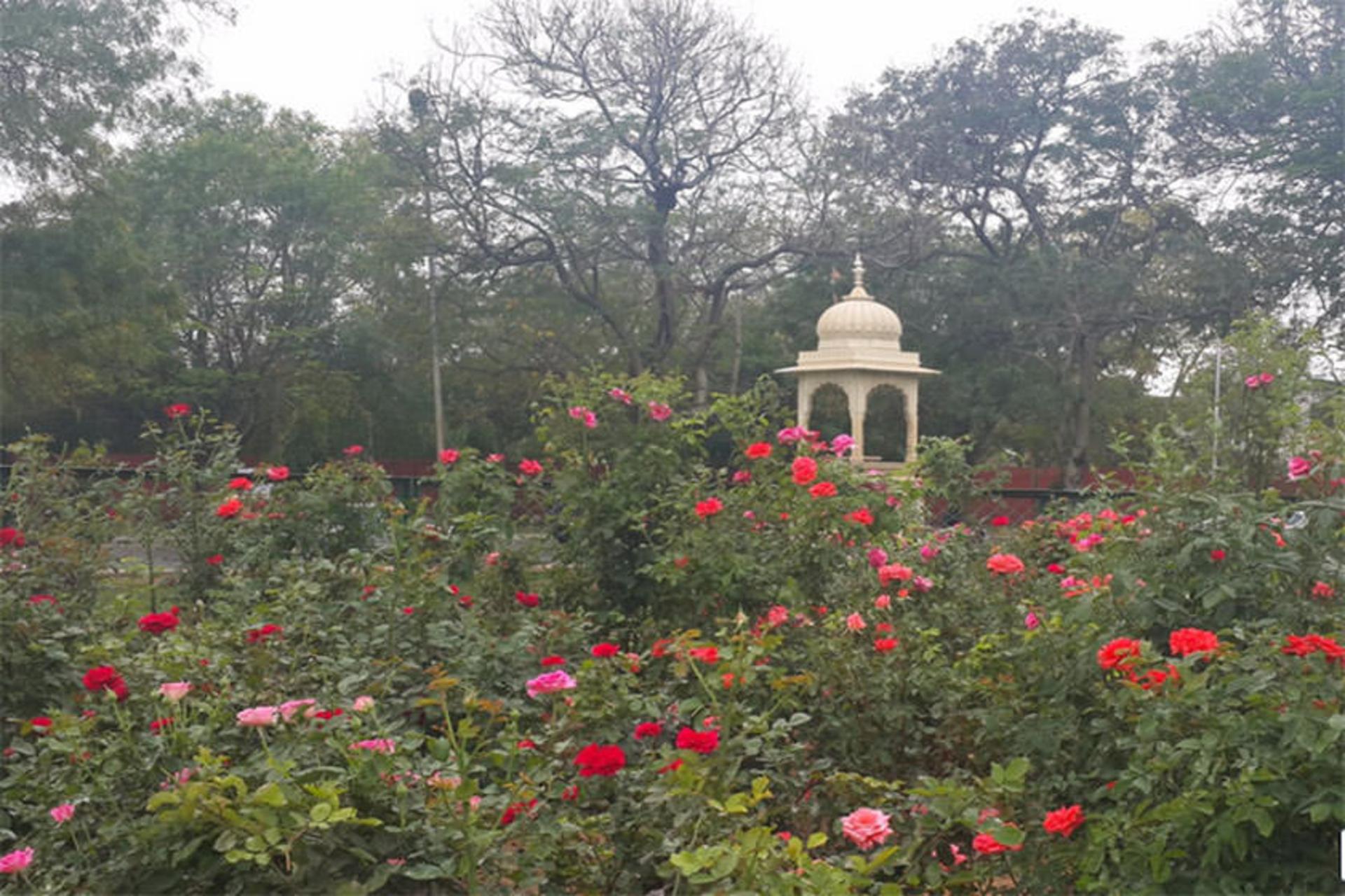 Ram Niwas Garden