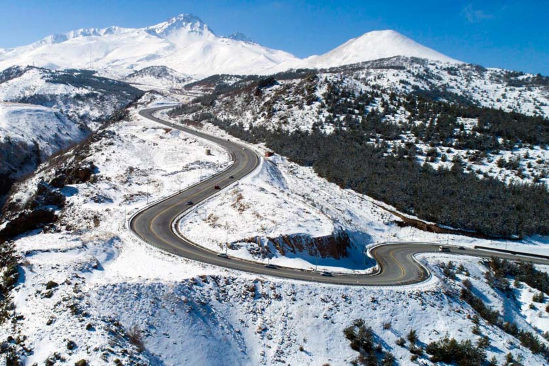 قیصریه