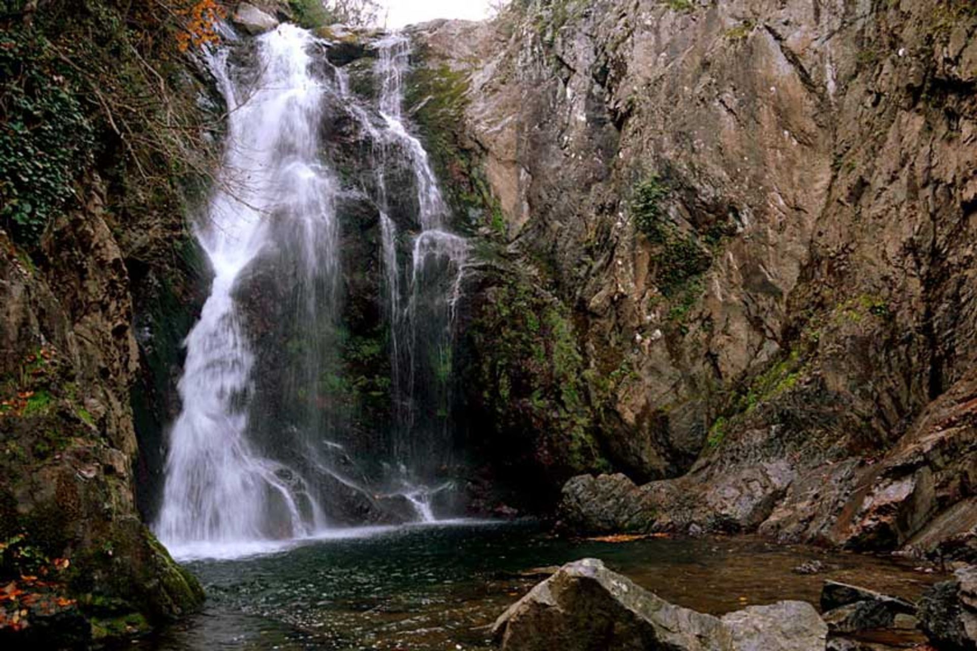 یالوا