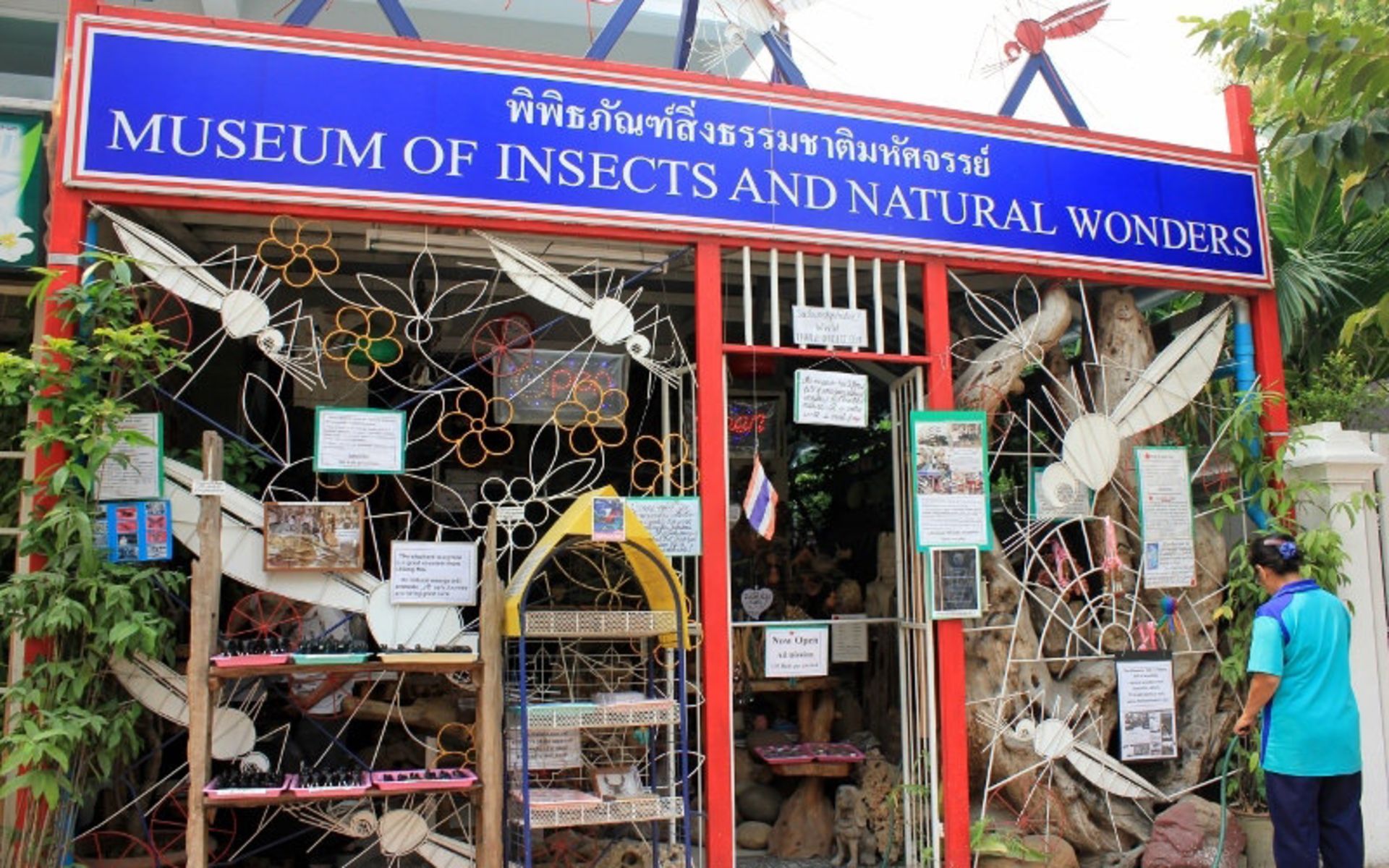 موزه حشرات جهان و عجایب طبیعی (museum of world insects and natural wonders)