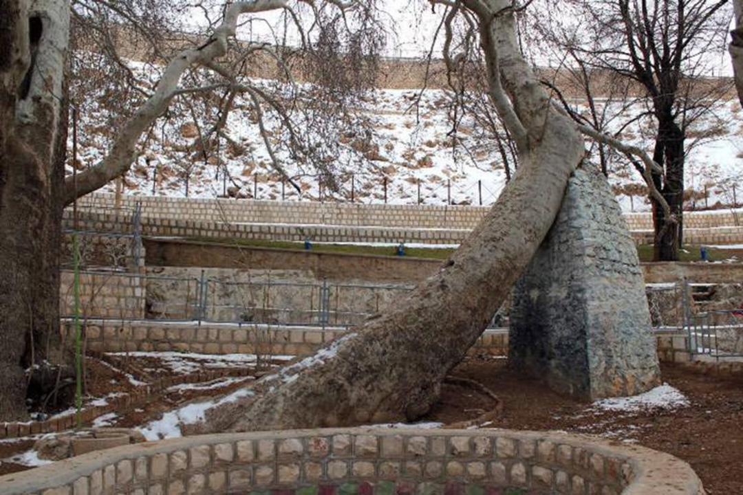 گردشگاه سیاسرد