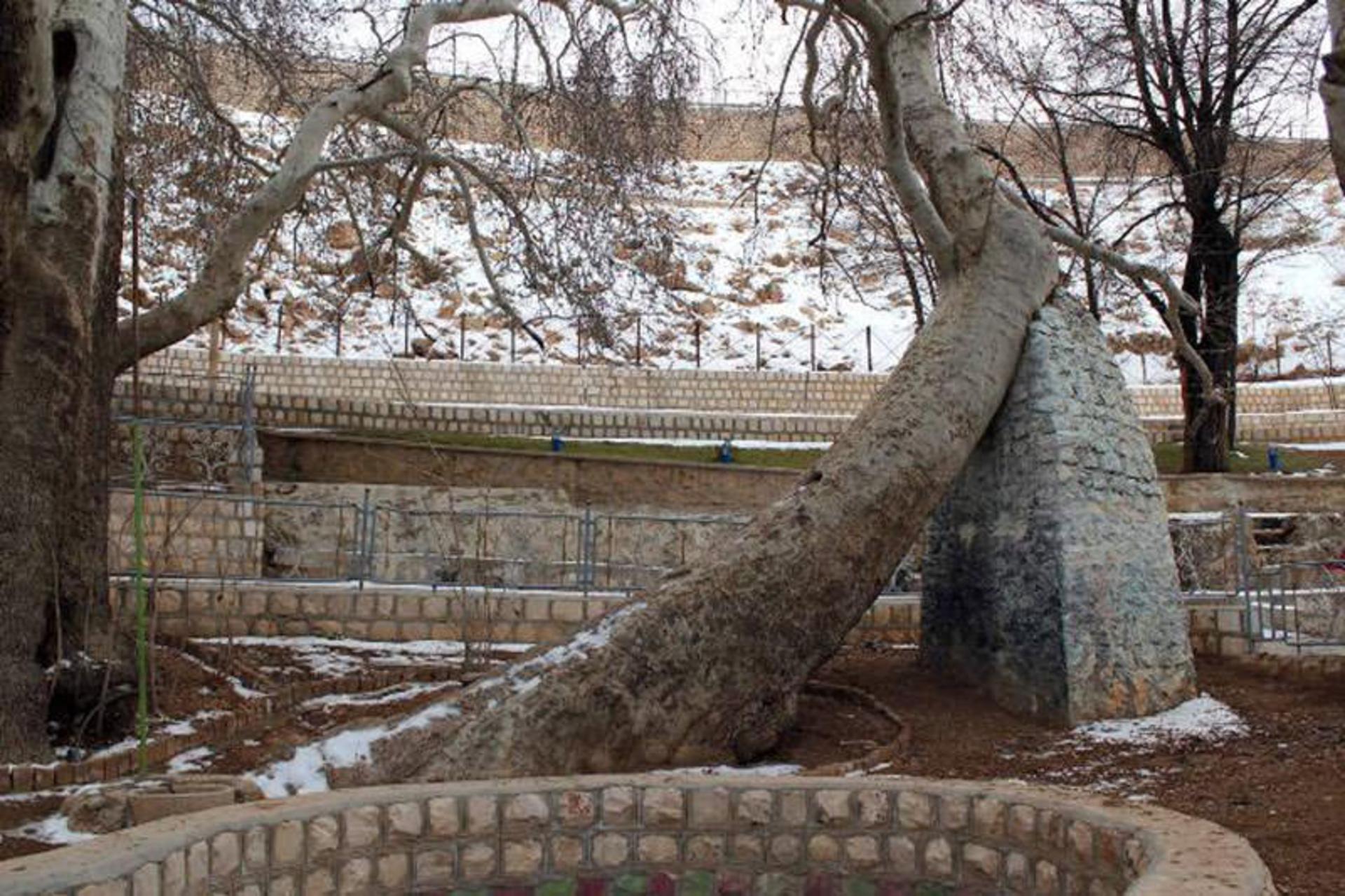 گردشگاه سیاسرد