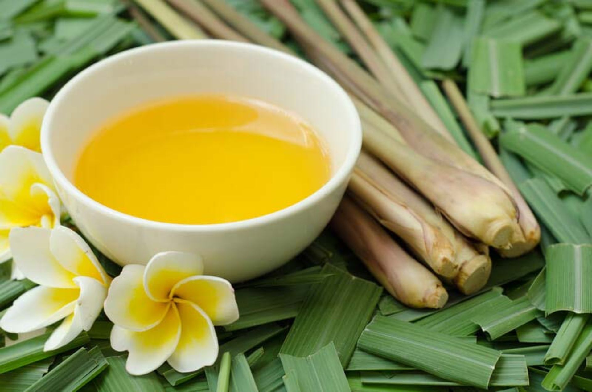 روغن سنبل هندی