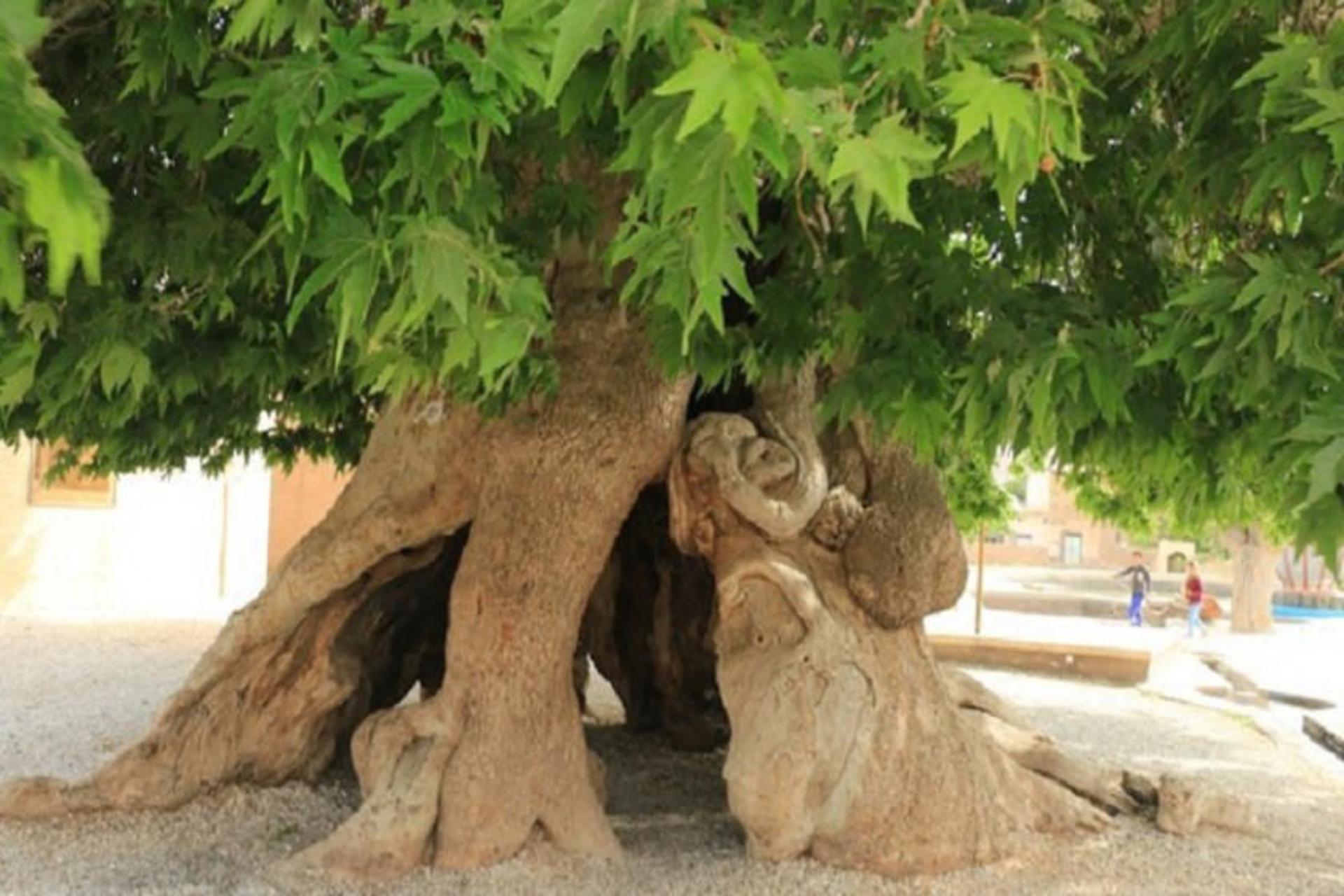 ثبت ملی  اثارطبیعی آذربایجان شرقی