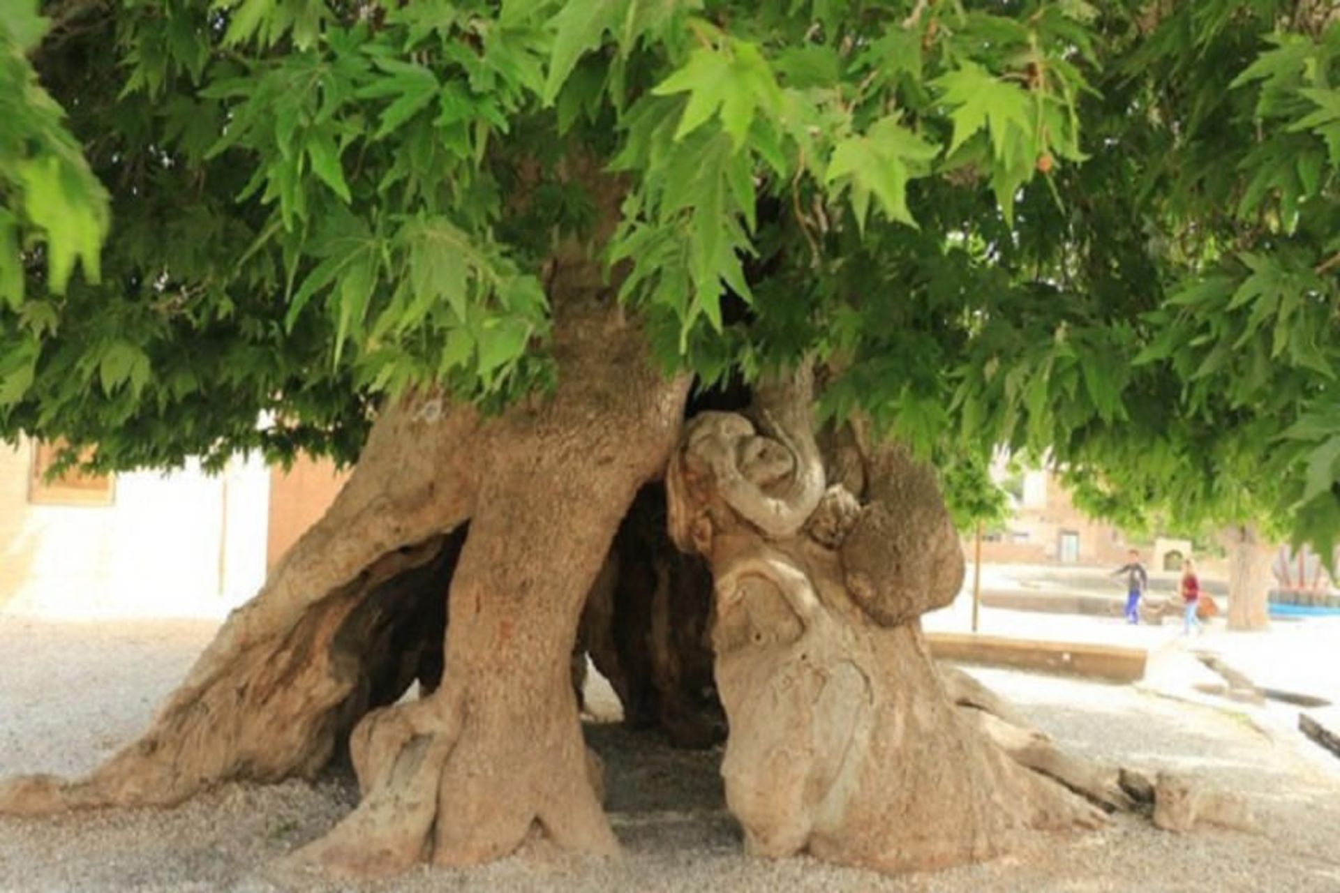 ثبت ملی  اثارطبیعی آذربایجان شرقی