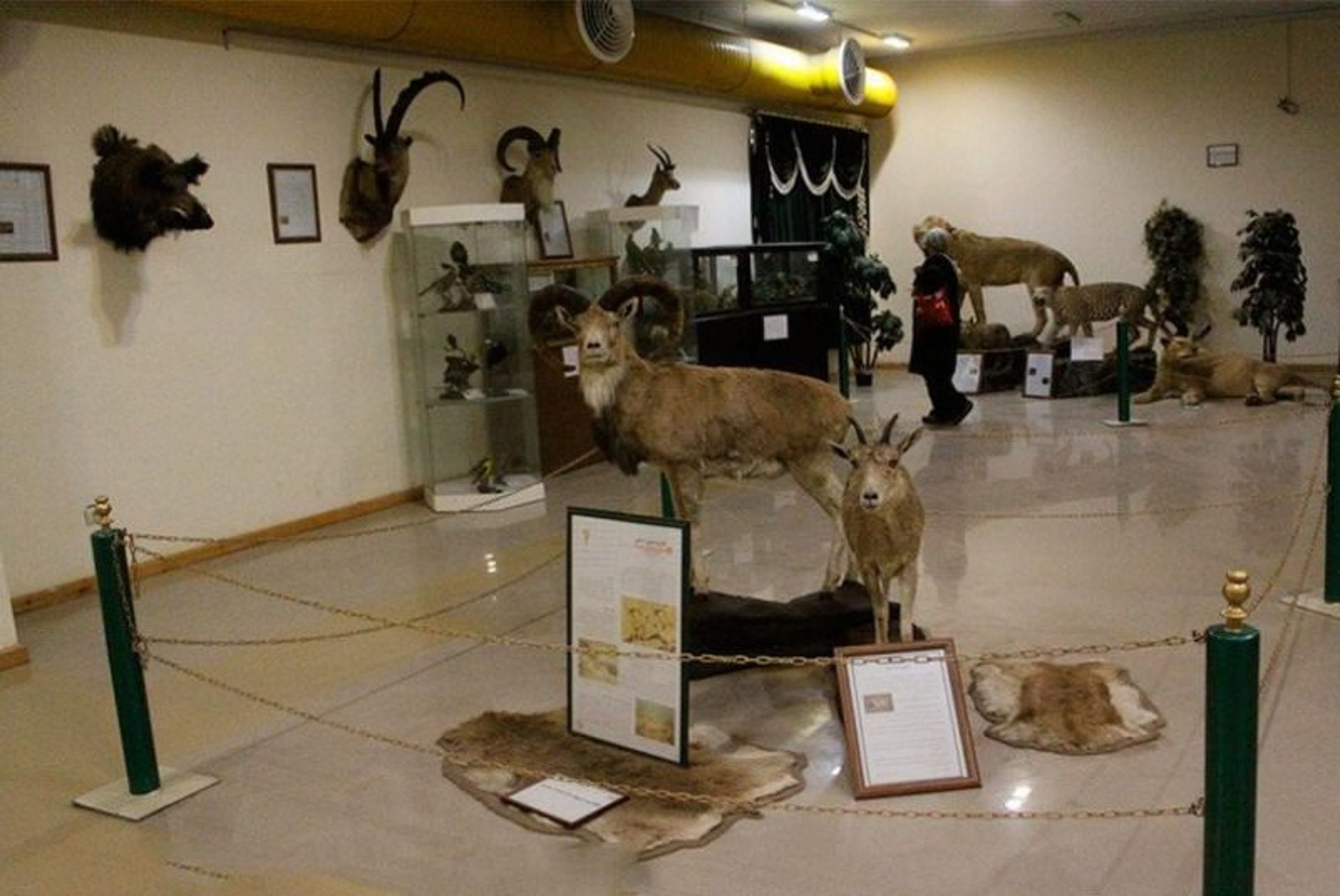 موزه تاریخ طبیعی اردبیل