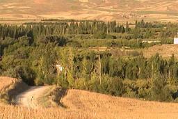 بازخانه