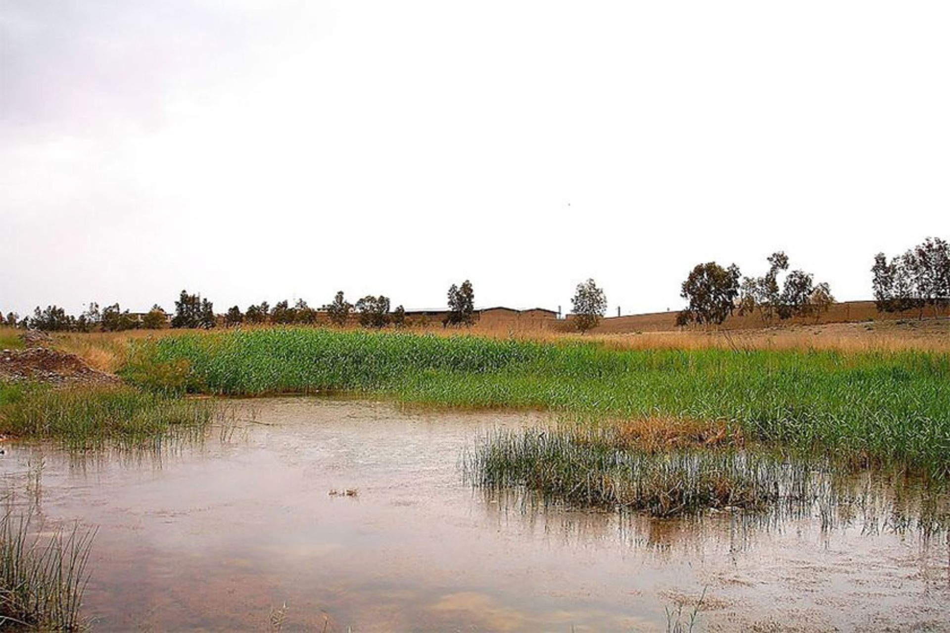 رودخانه قمرود