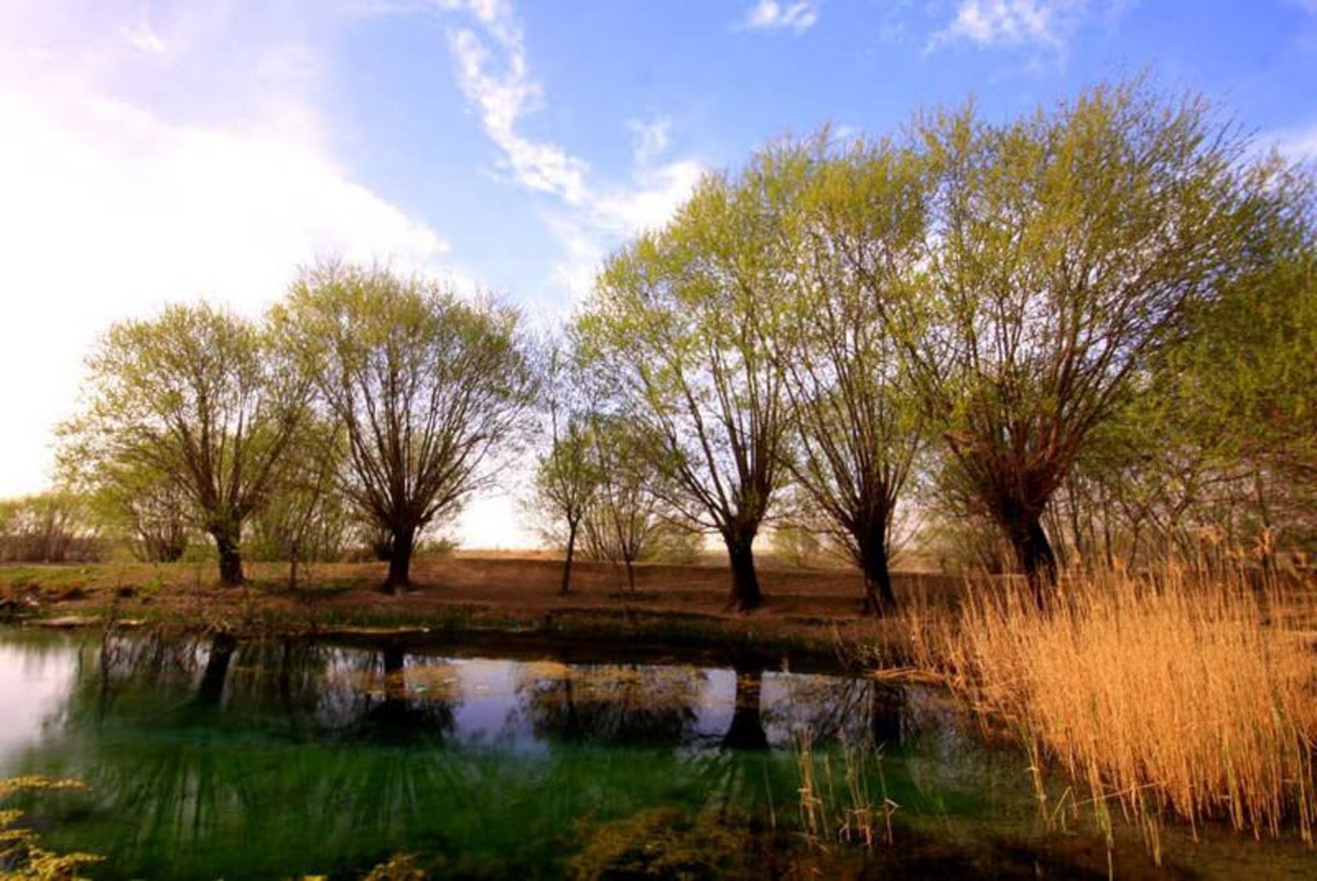 چشمه بالنگان