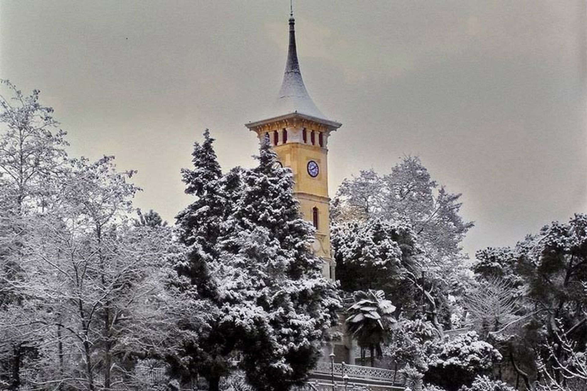 قوجاایلی