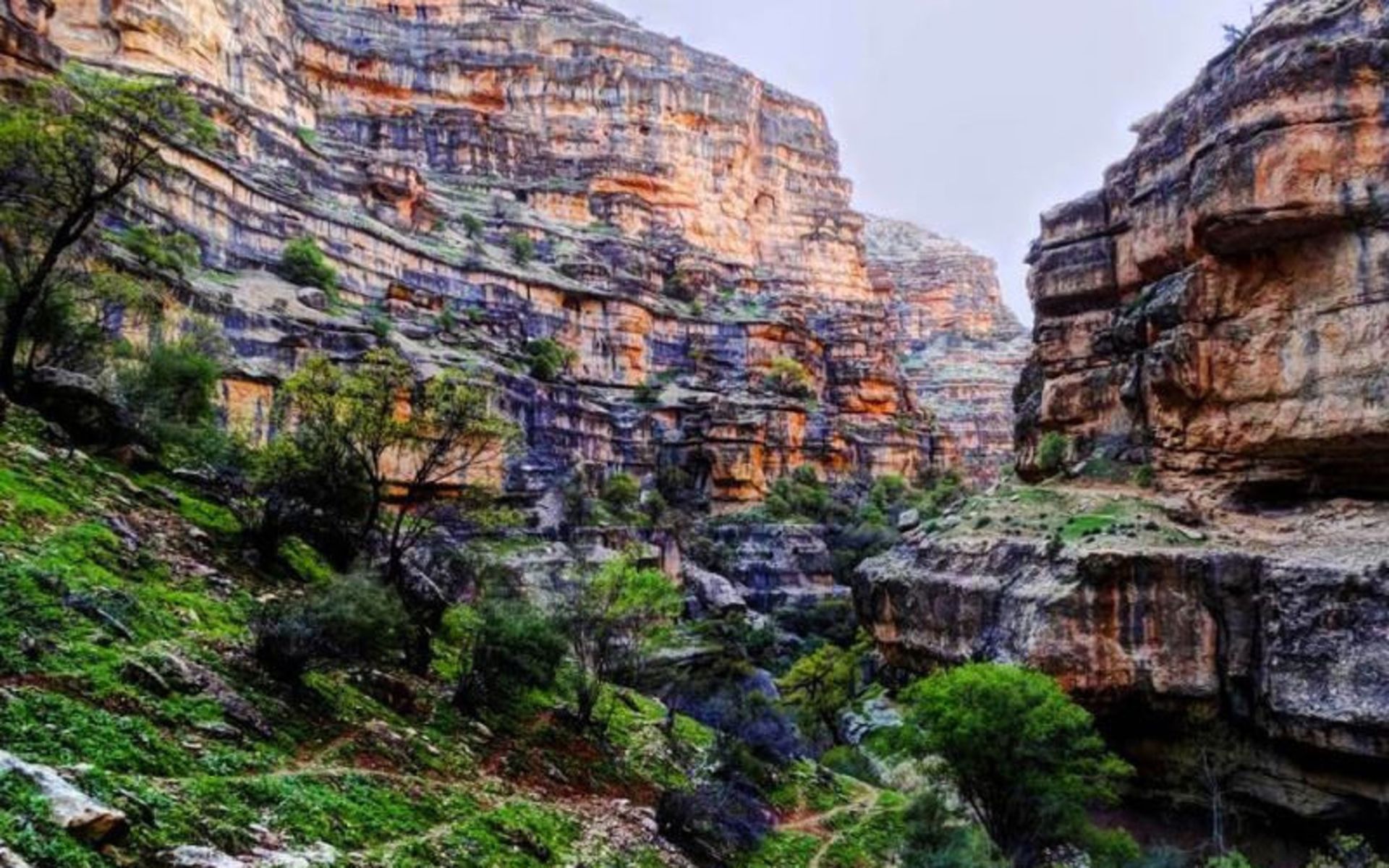 دره شیزر