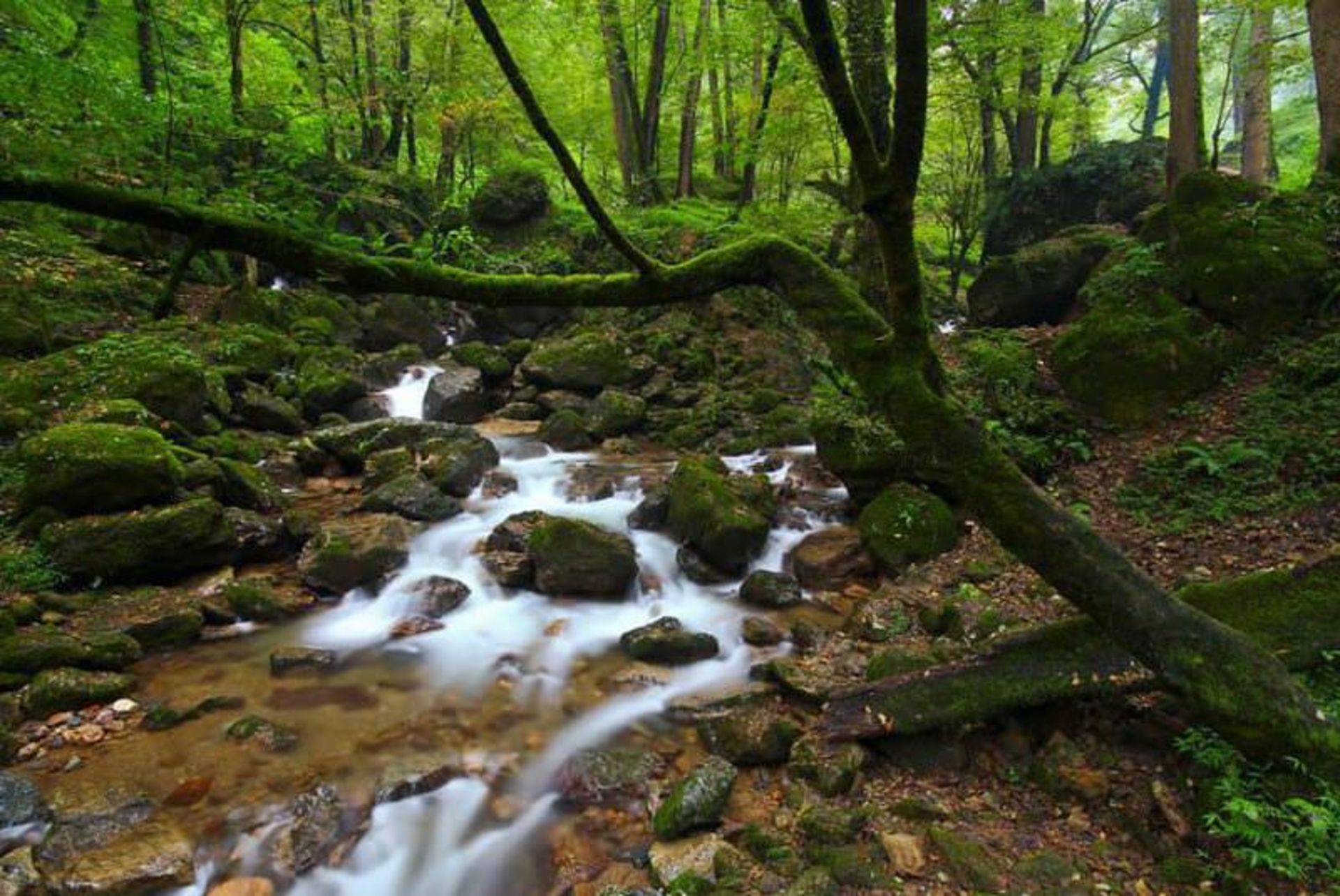 مسیر قلعه رودخان