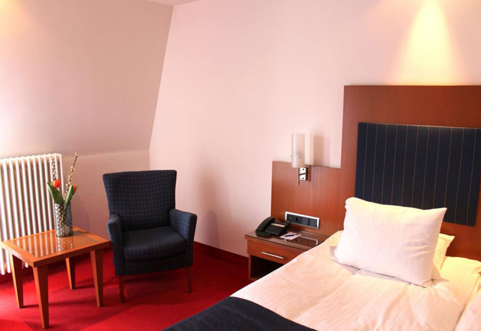 هتل ارزگیسری یوروپ (Hotel Erzgiesserei Europe)