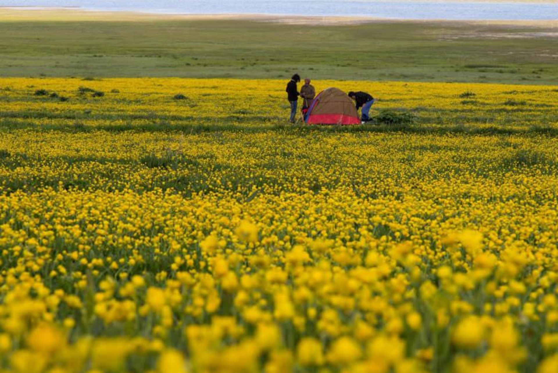 طبیعت فضای اطراف دریاچه