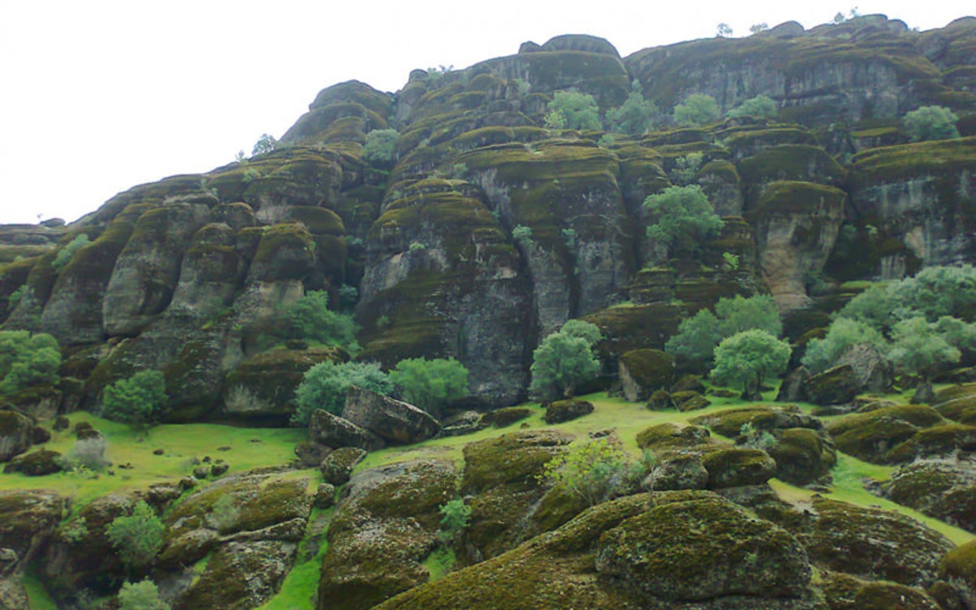 مخمل کوه