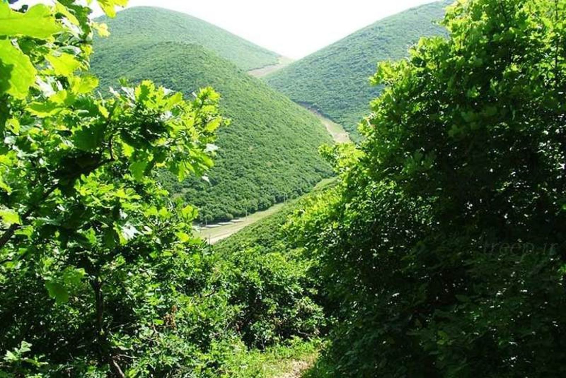 تفرجگاه اندبیل