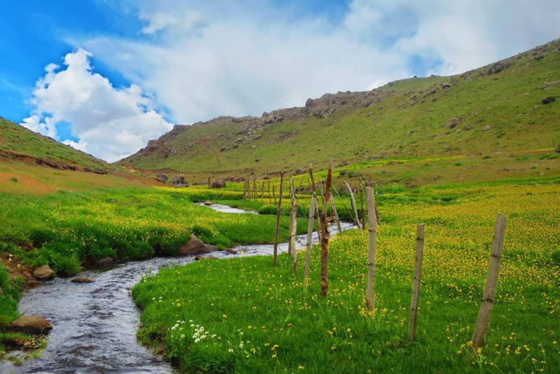 طبیعت اطراف دریاچه نئور