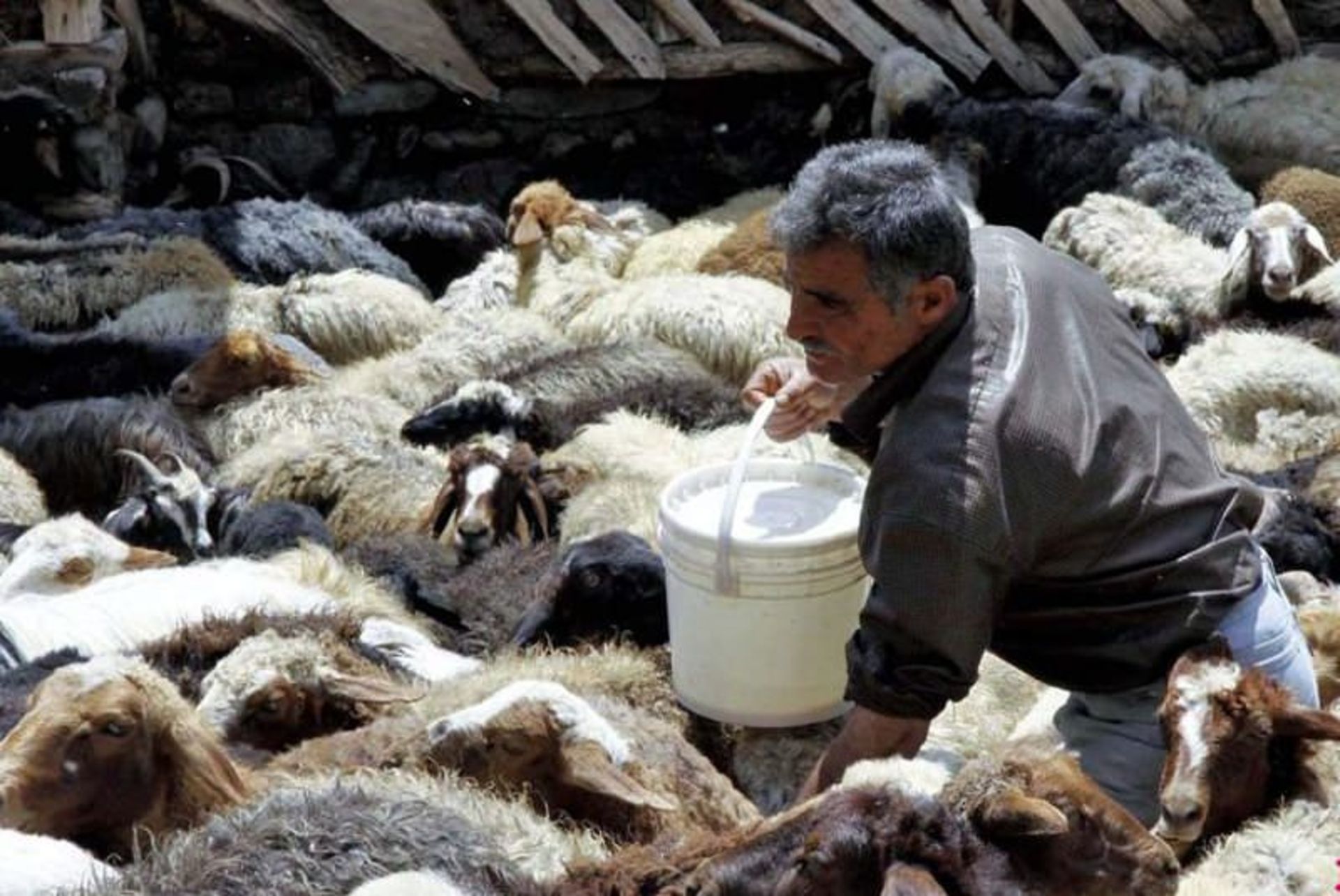 مراسم دودوشان