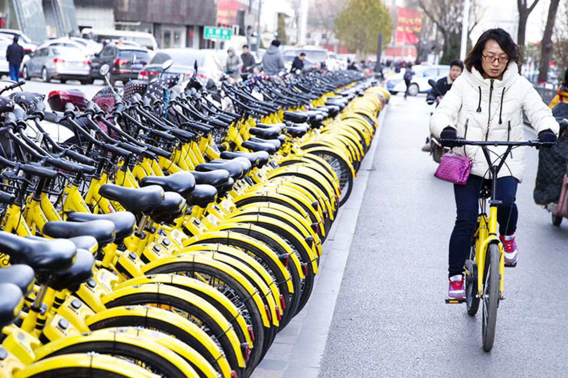 bicycle beijing