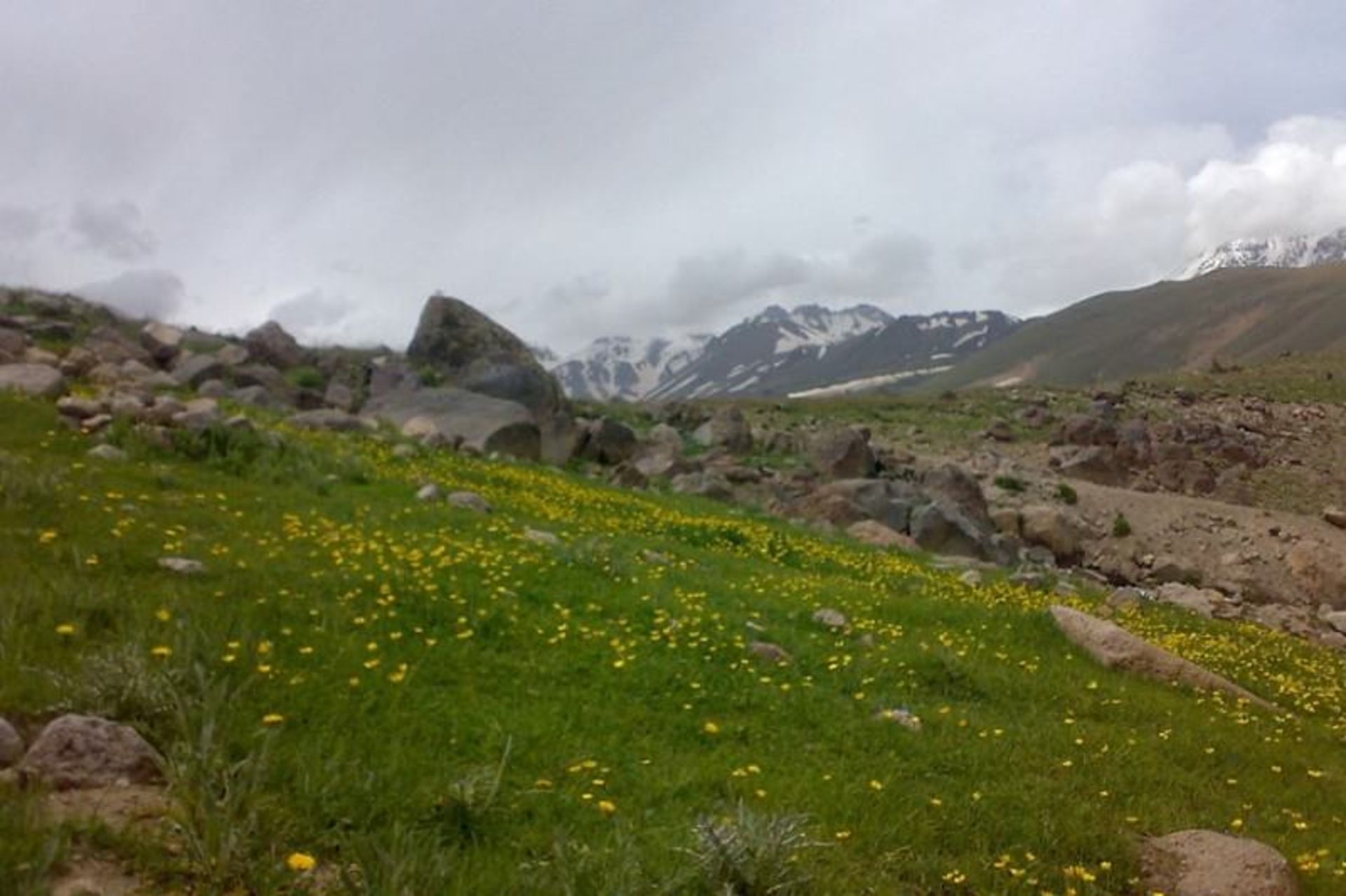 سرعین