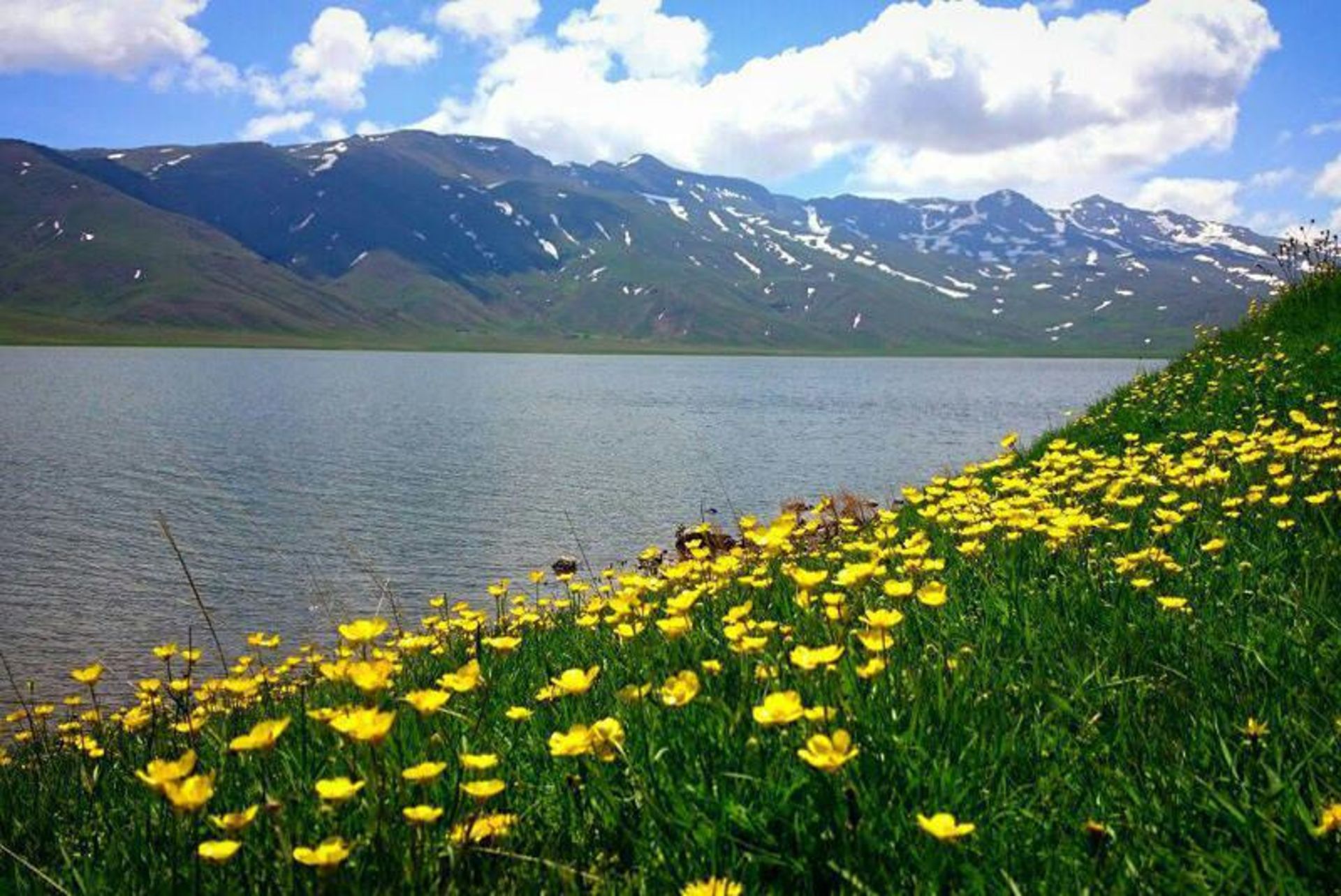 دریاچه نئور