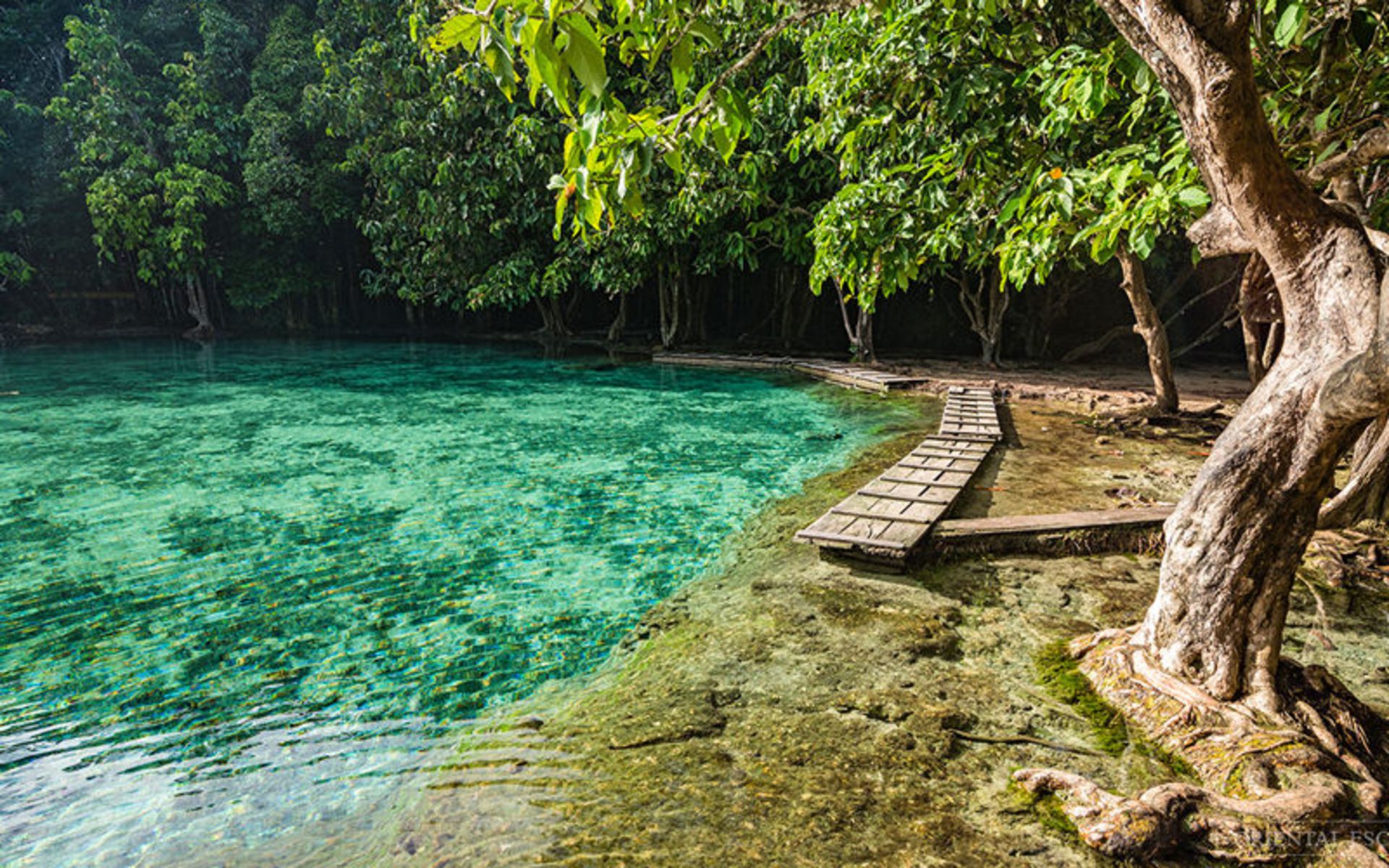 استخر زمردین (Emerald Pool)