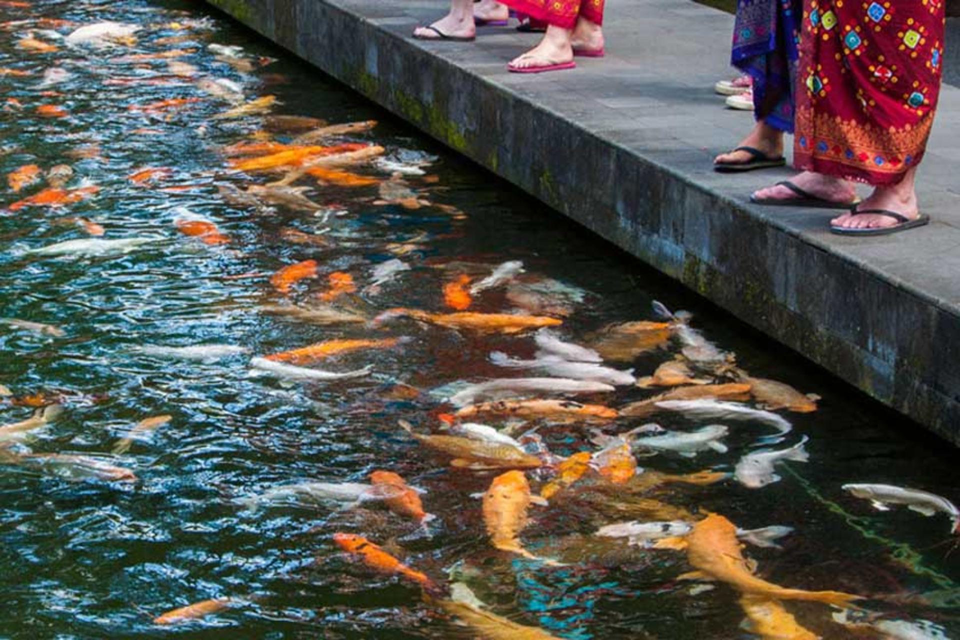 2018-6-88ff0b27-8c7e-41c5-915c-7ddec012b911