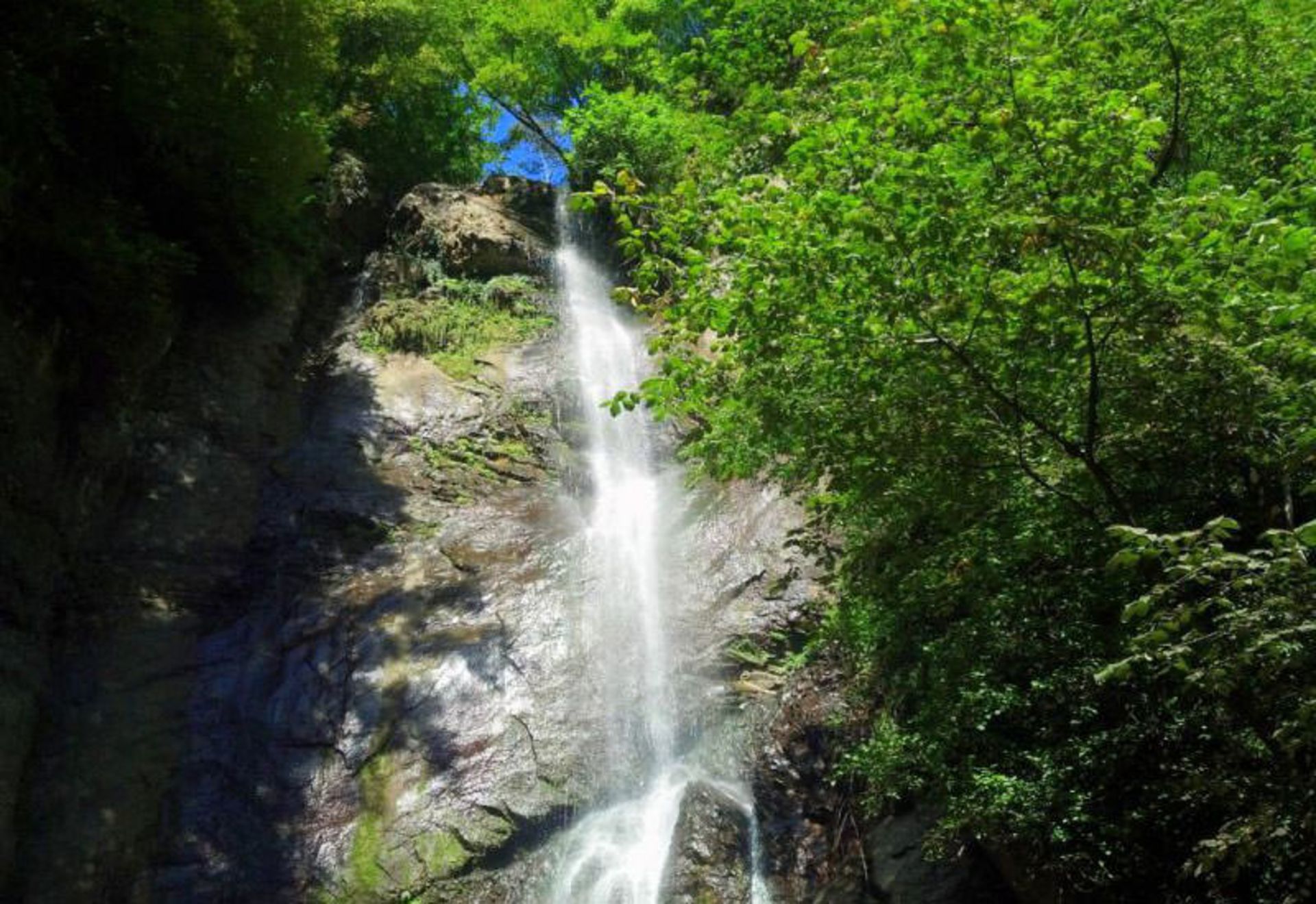 آبشار ماخونتستی (Makhuntseti Waterfall)